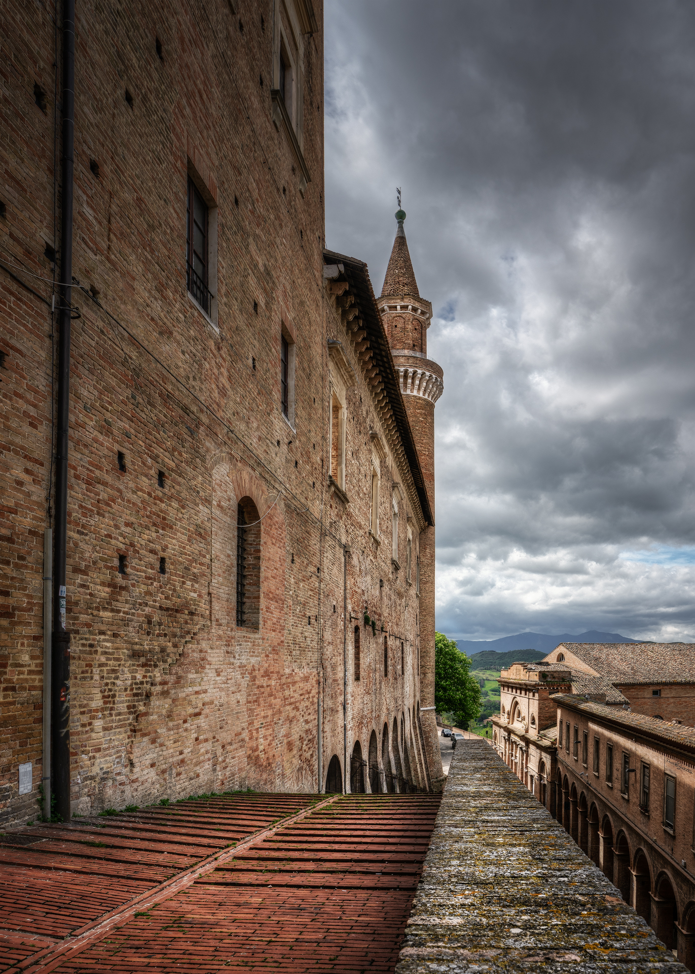 Urbino