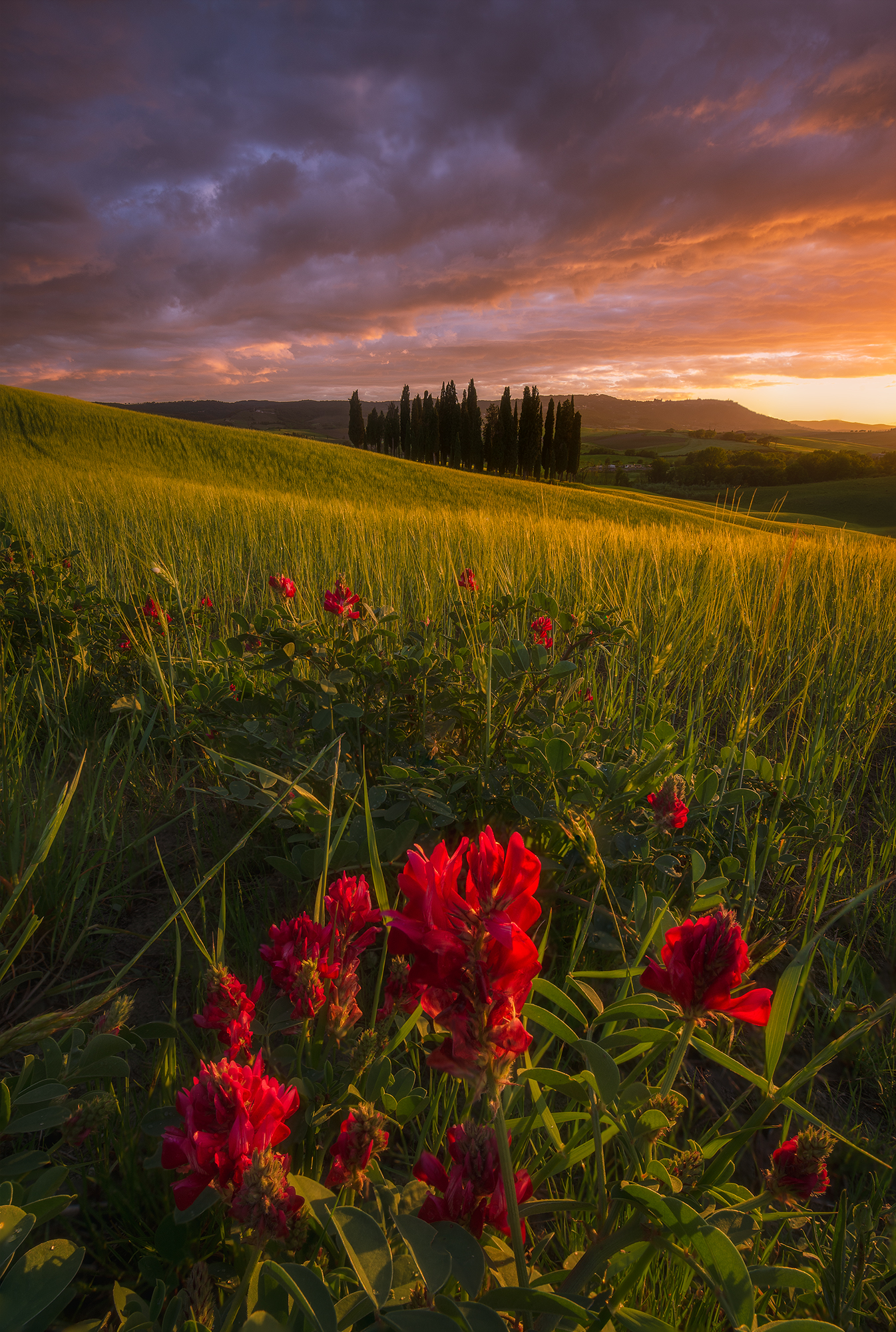 La primavera Toscana