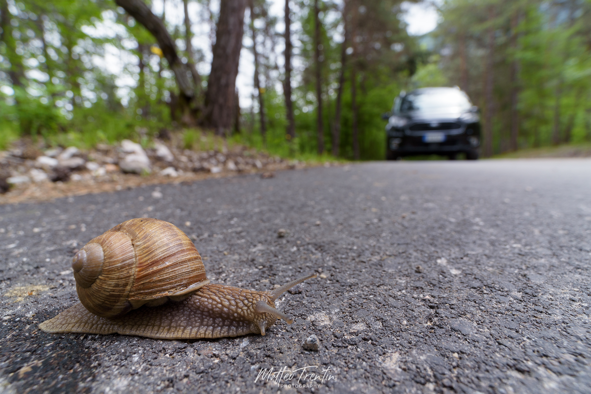 obstacles of the macro-world