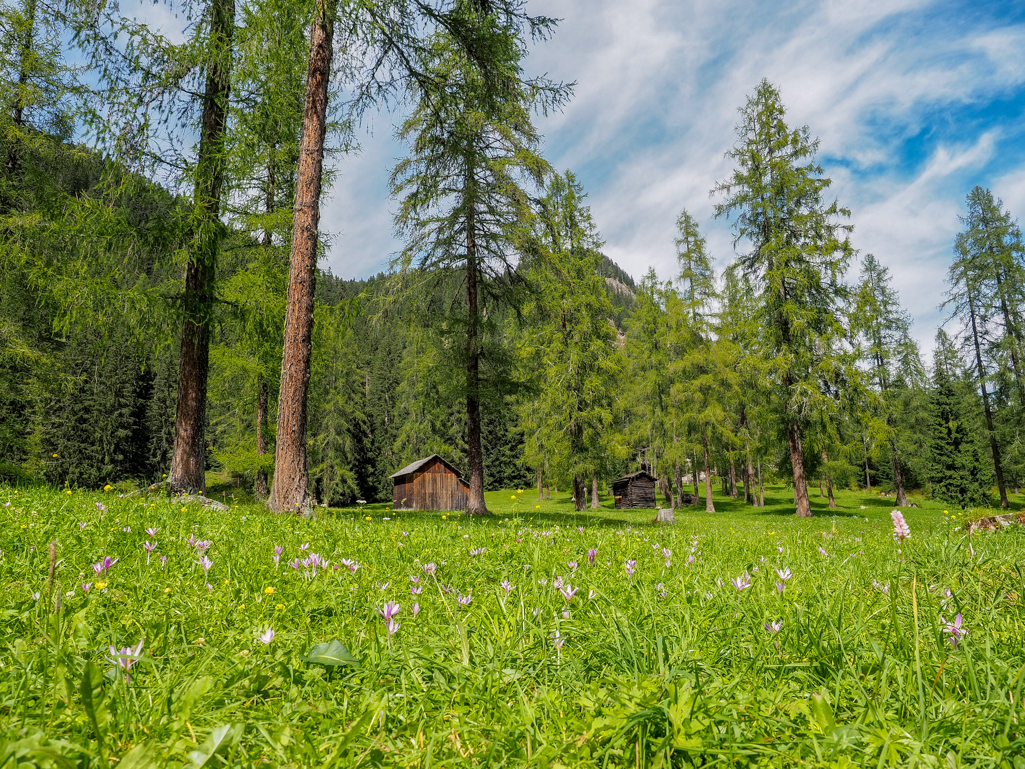 I colori della Val Fiscalina