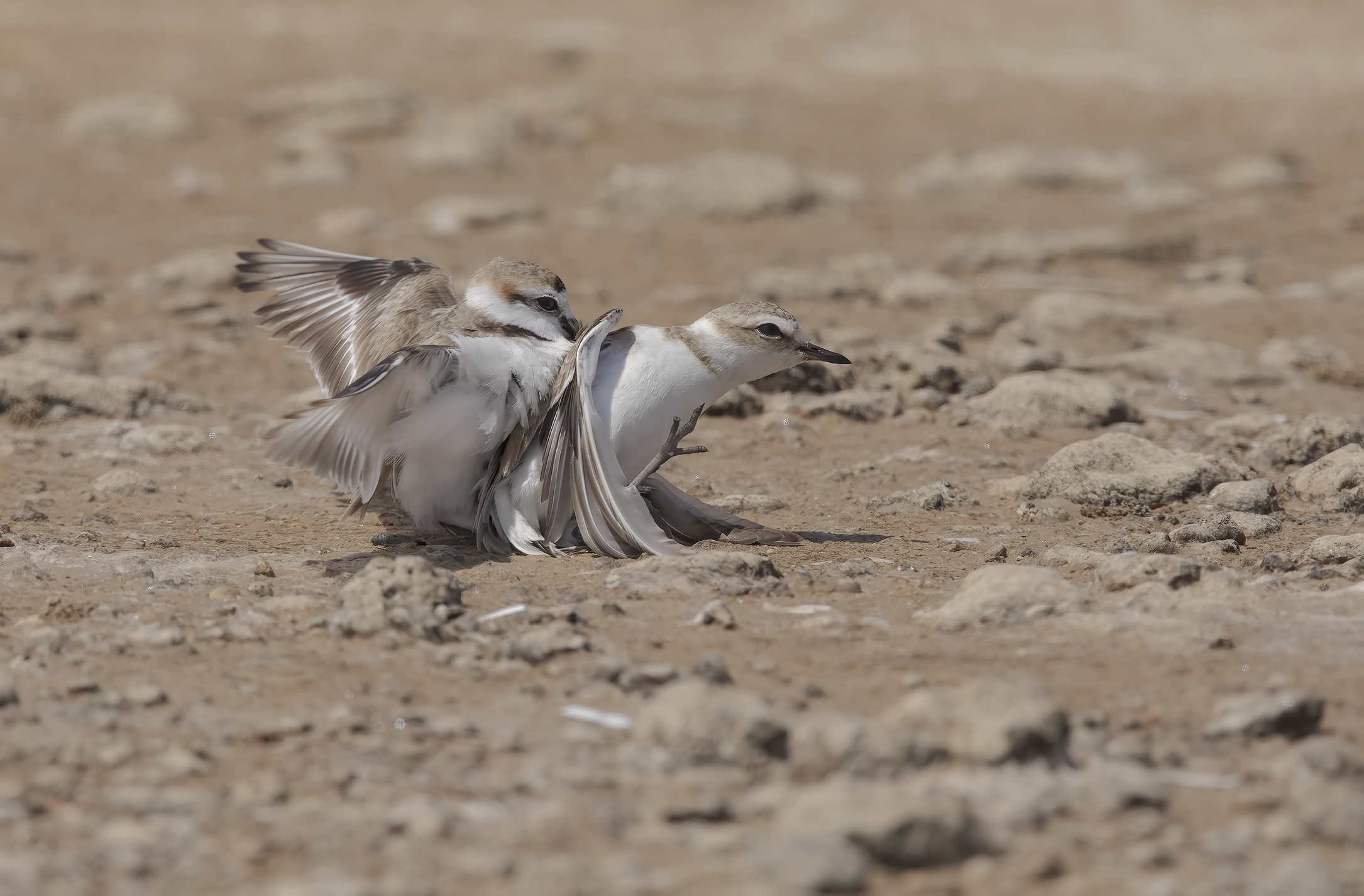 overwhelmed by passion