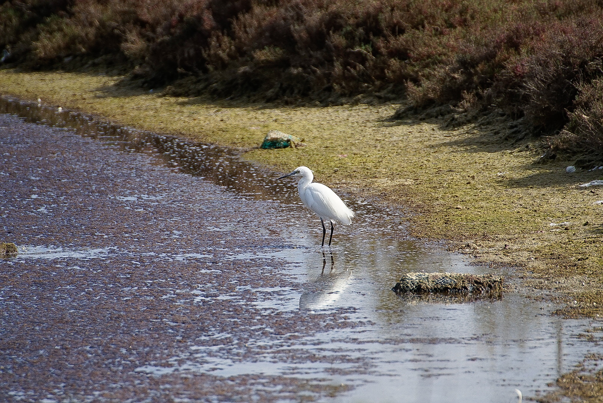Riserva naturale August