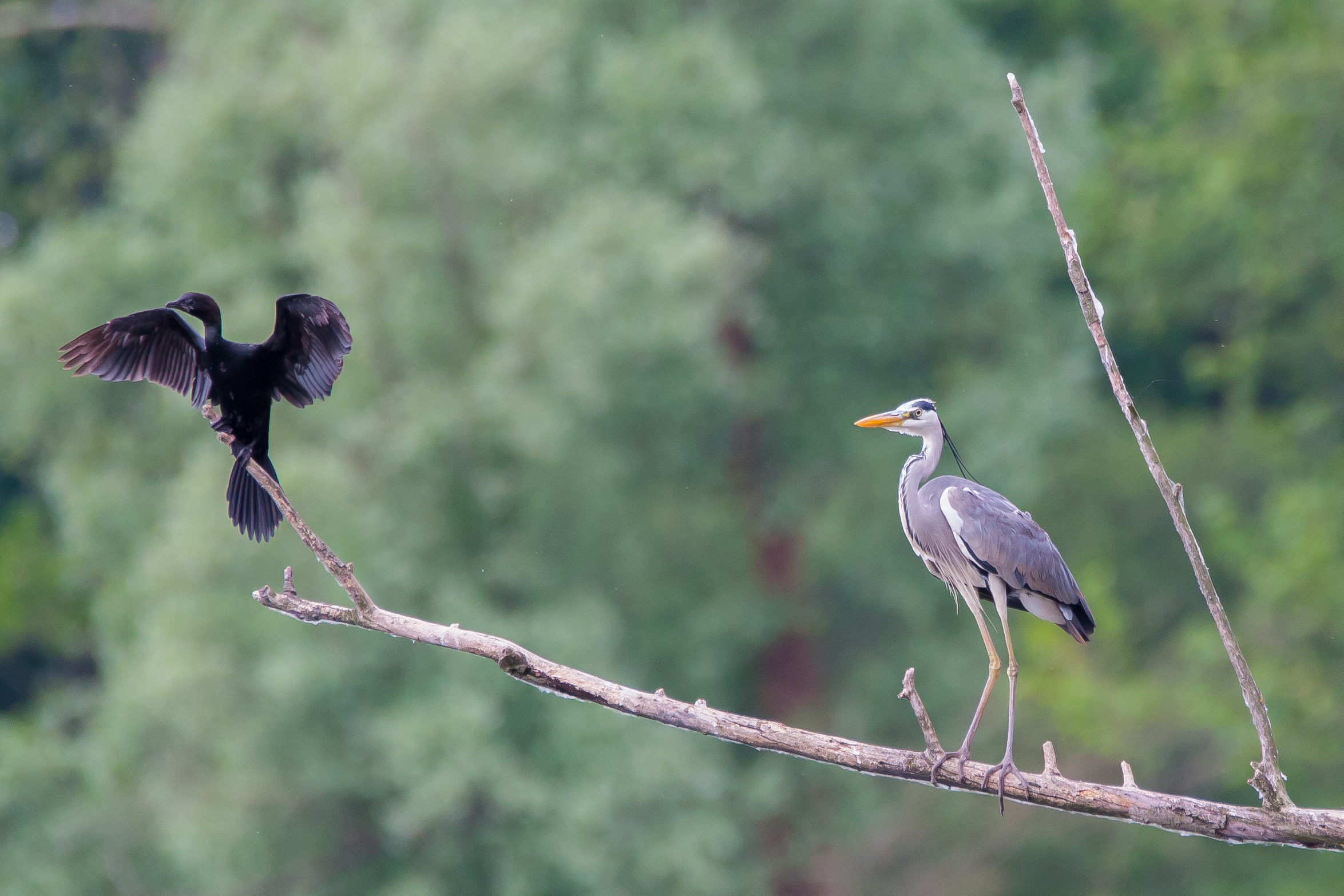 condivisione di spazi...