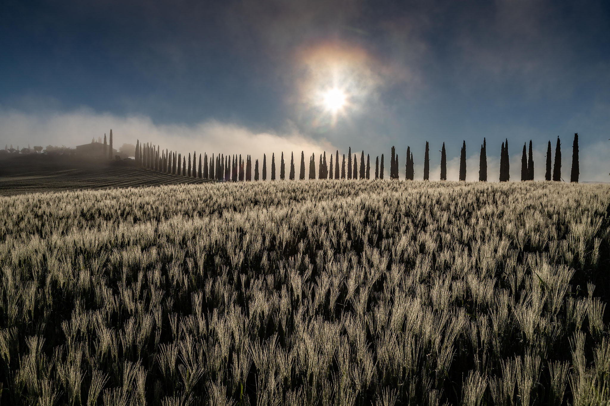 Pane quotidiano......