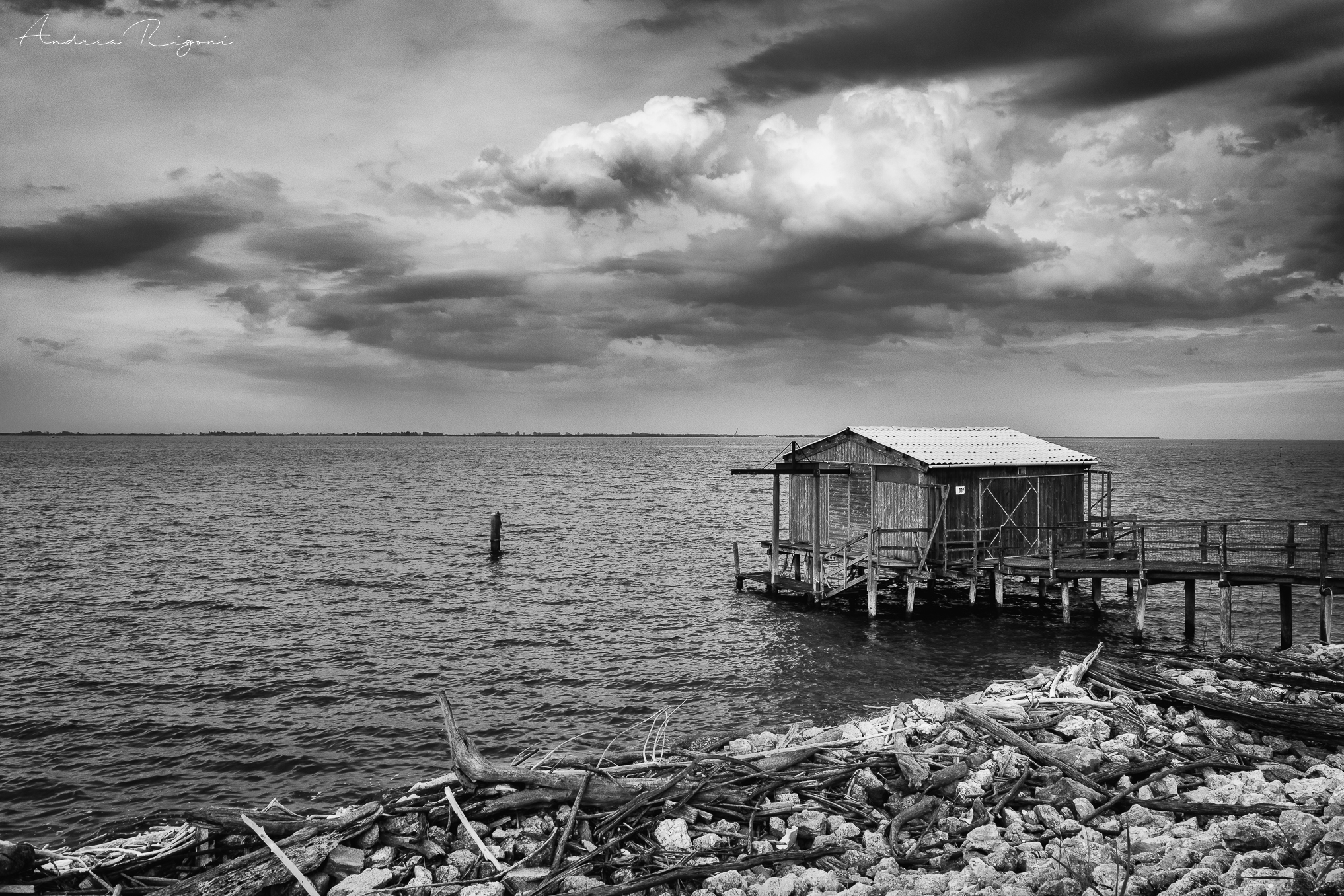 sacca degli scardovari