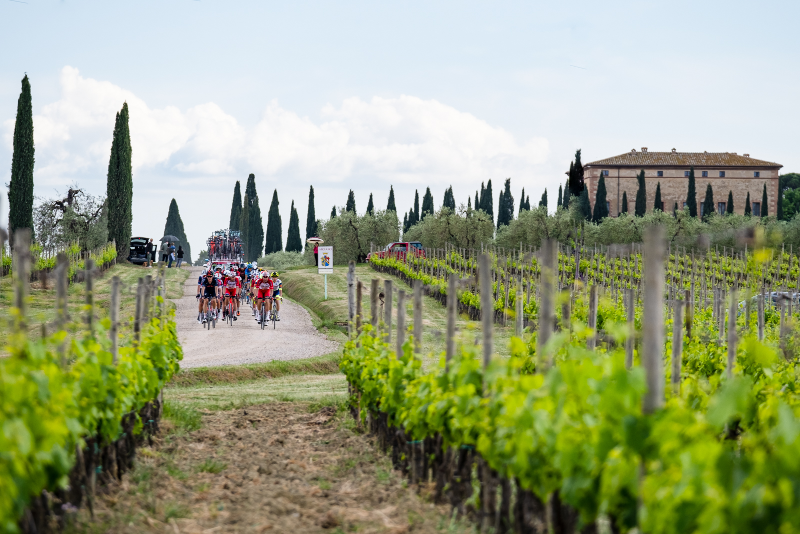 The Giro in Montalcino