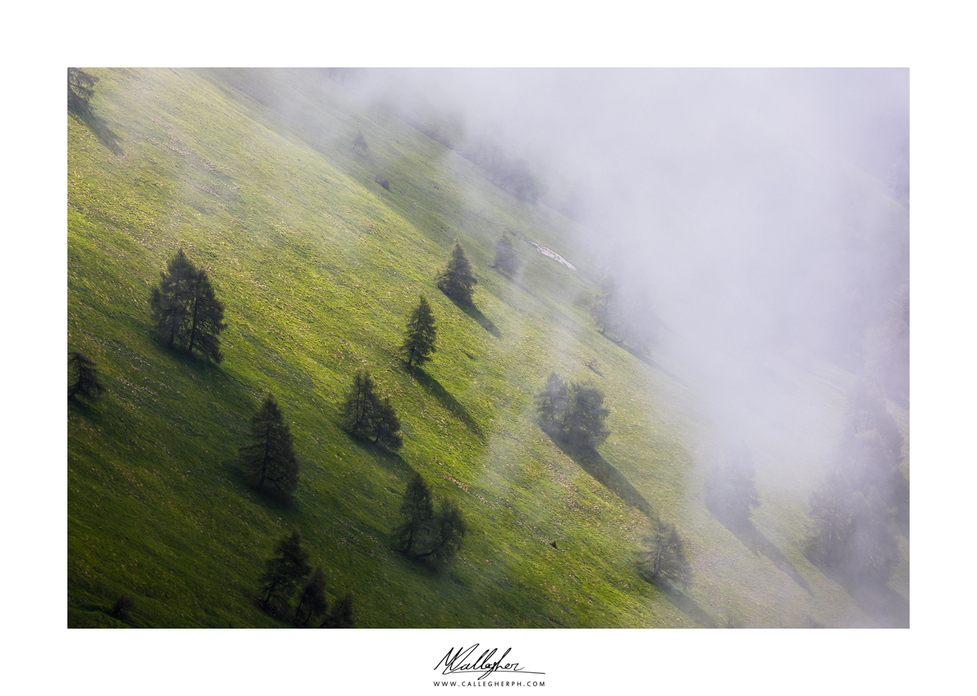 Untitled Photo
