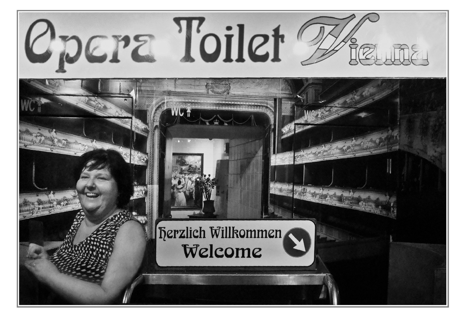 Vienna toilette