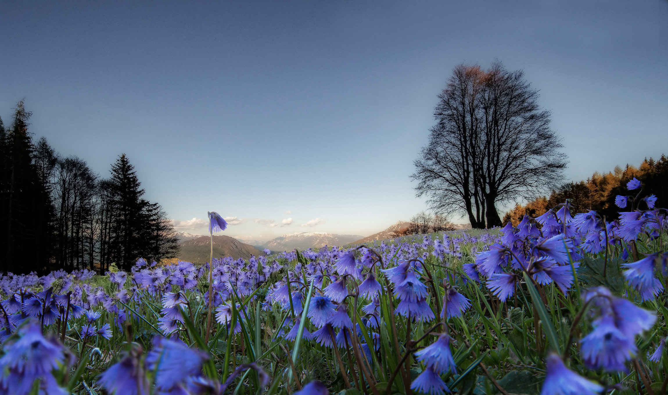 Quel che resta del giorno