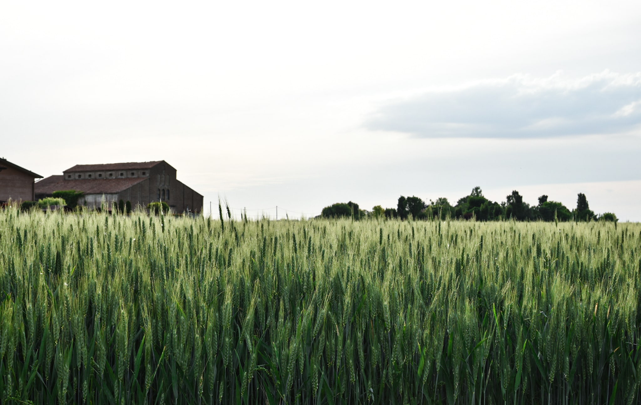 There's something to get lost in