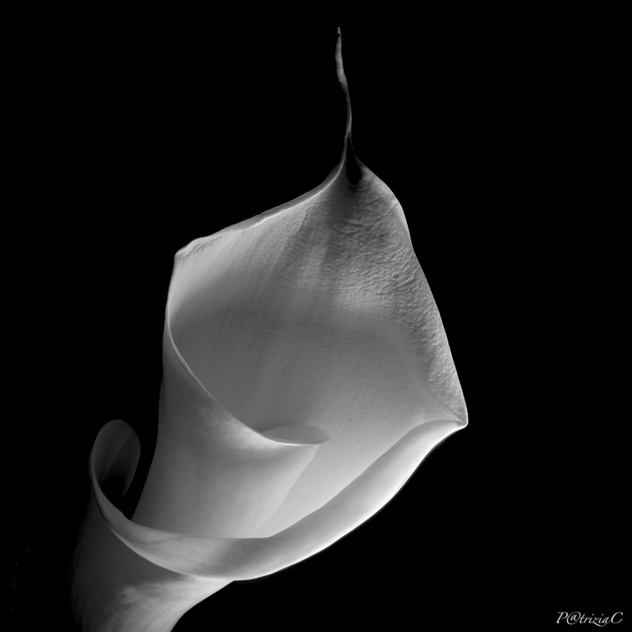 __calla__(2)