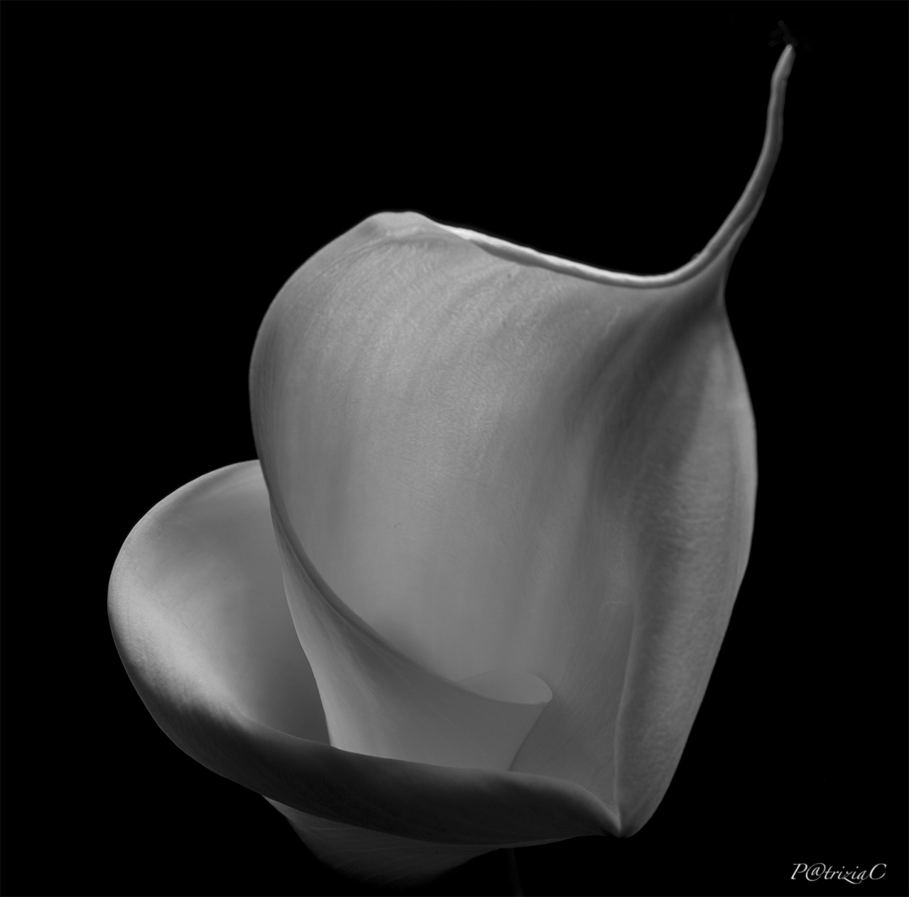 __calla__(3)