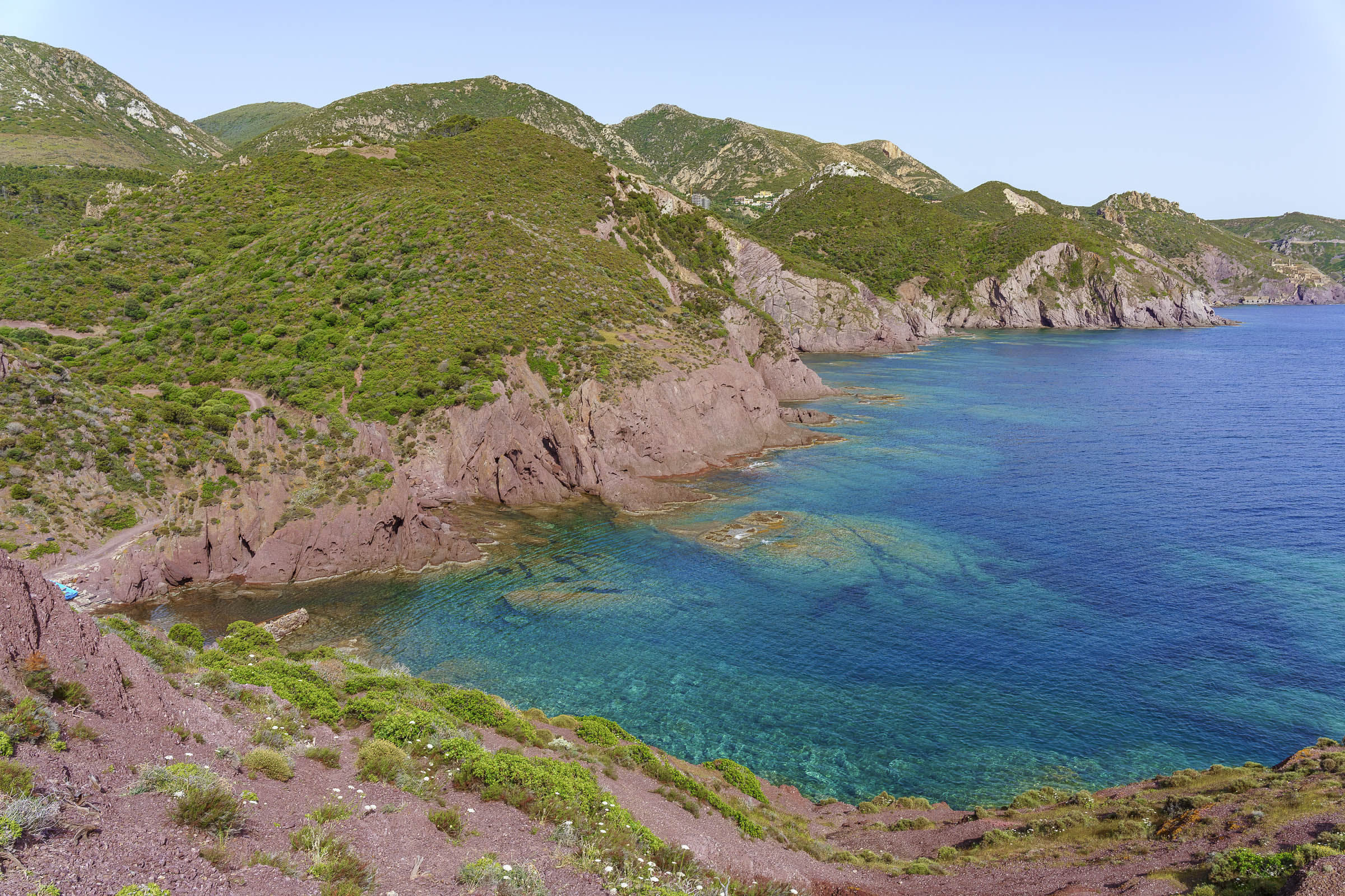 Mare colori di primavera