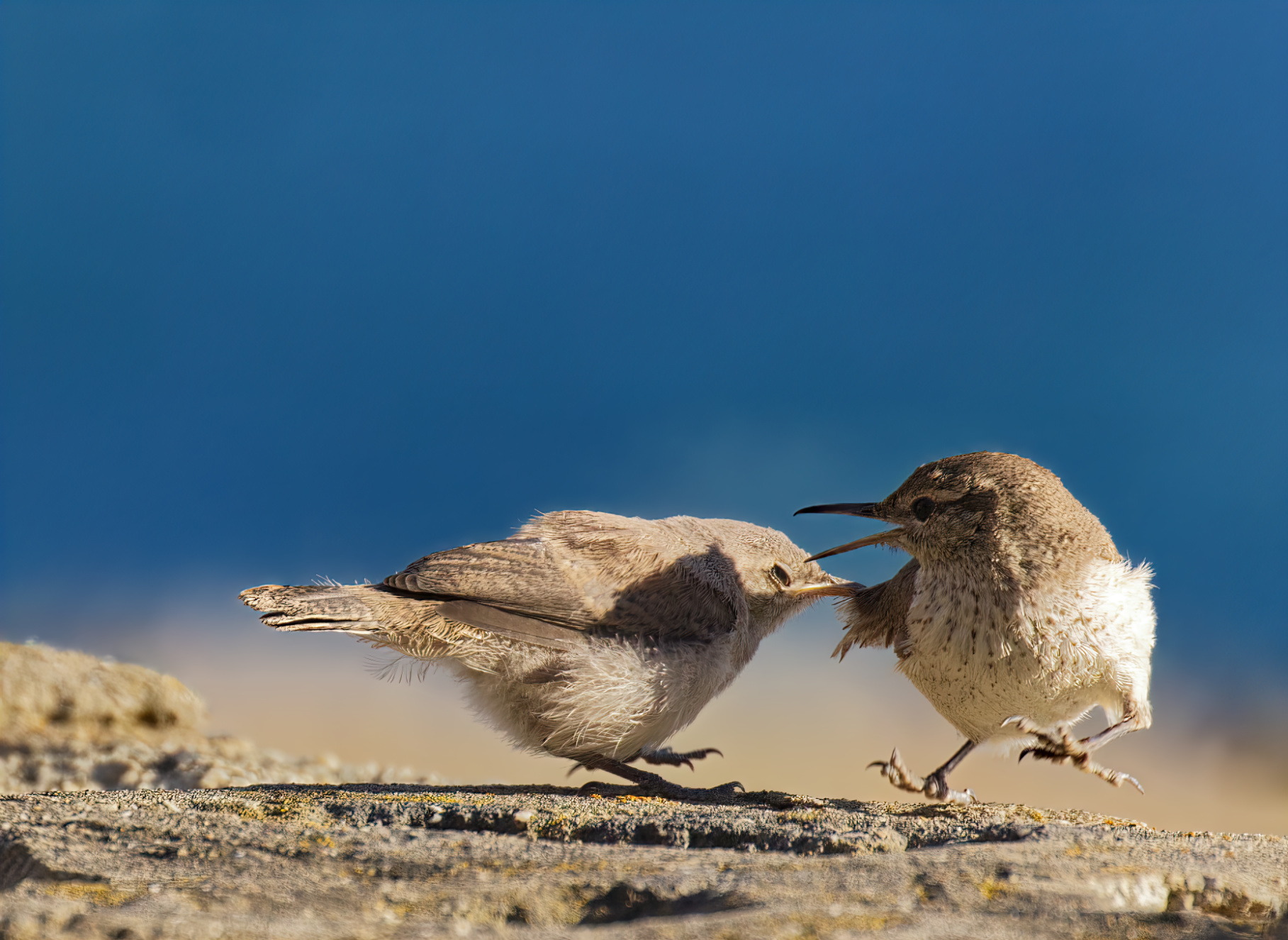 Let's discuss our differences...