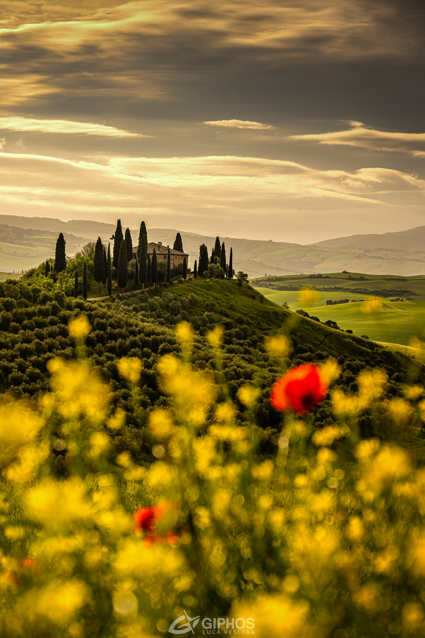 Belvedere in the Heart