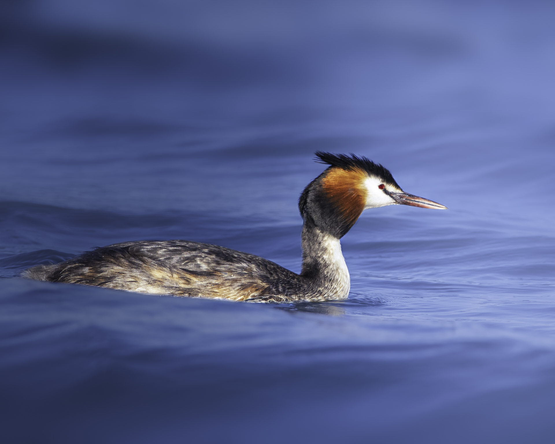 Passeggiando tra le onde
