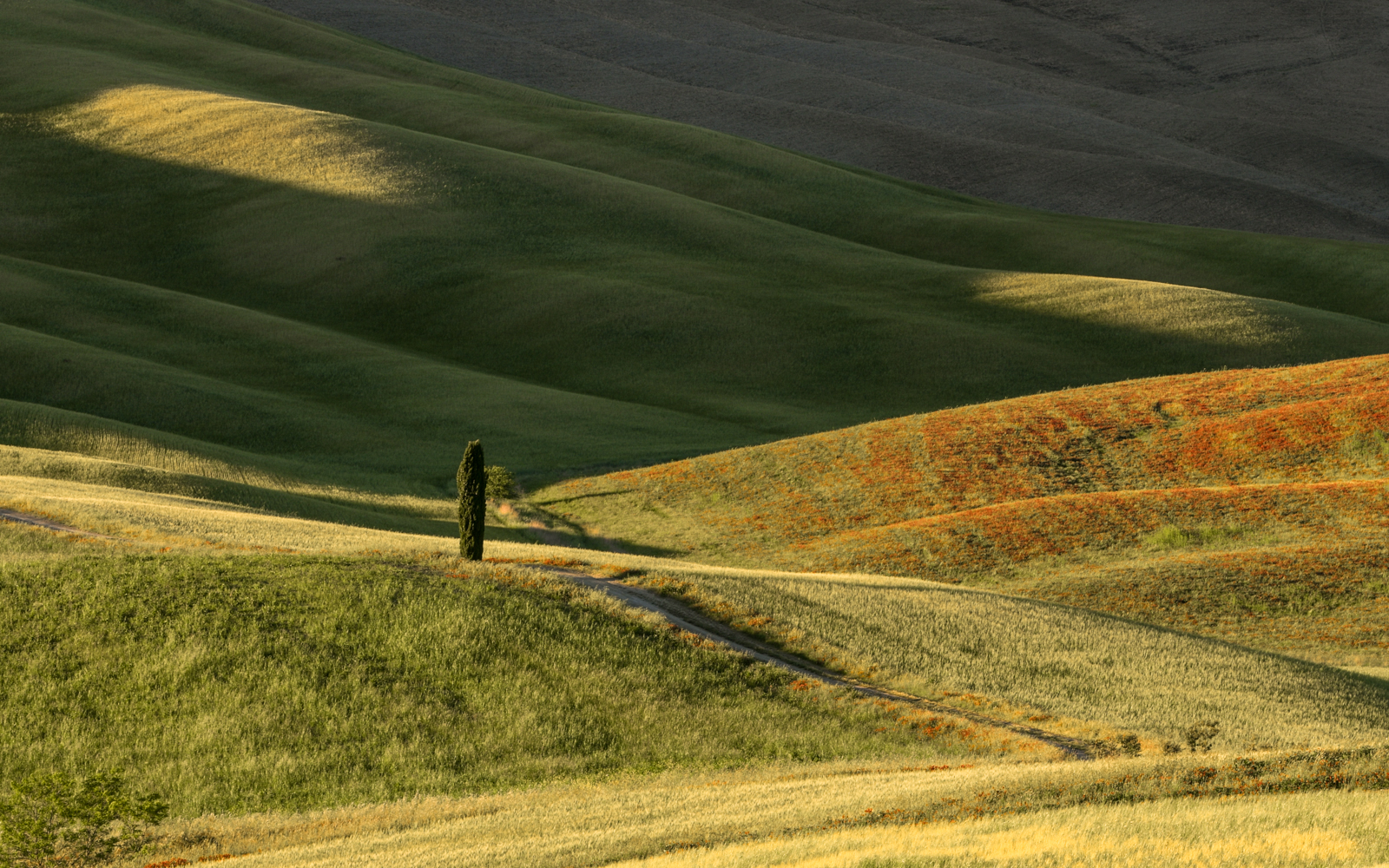 Val d'Orcia, spring 2021