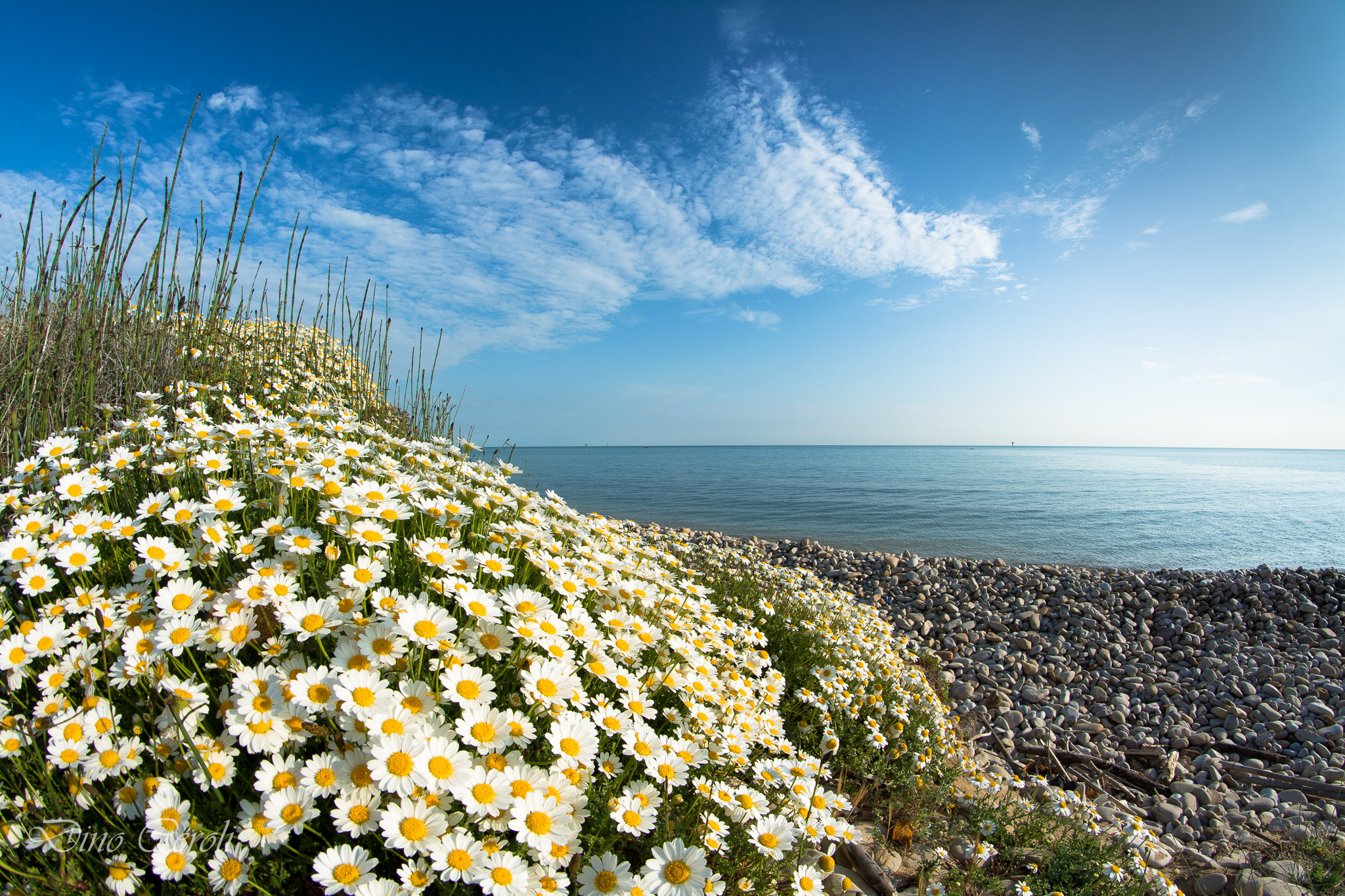 Spiaggia Casalbordino
