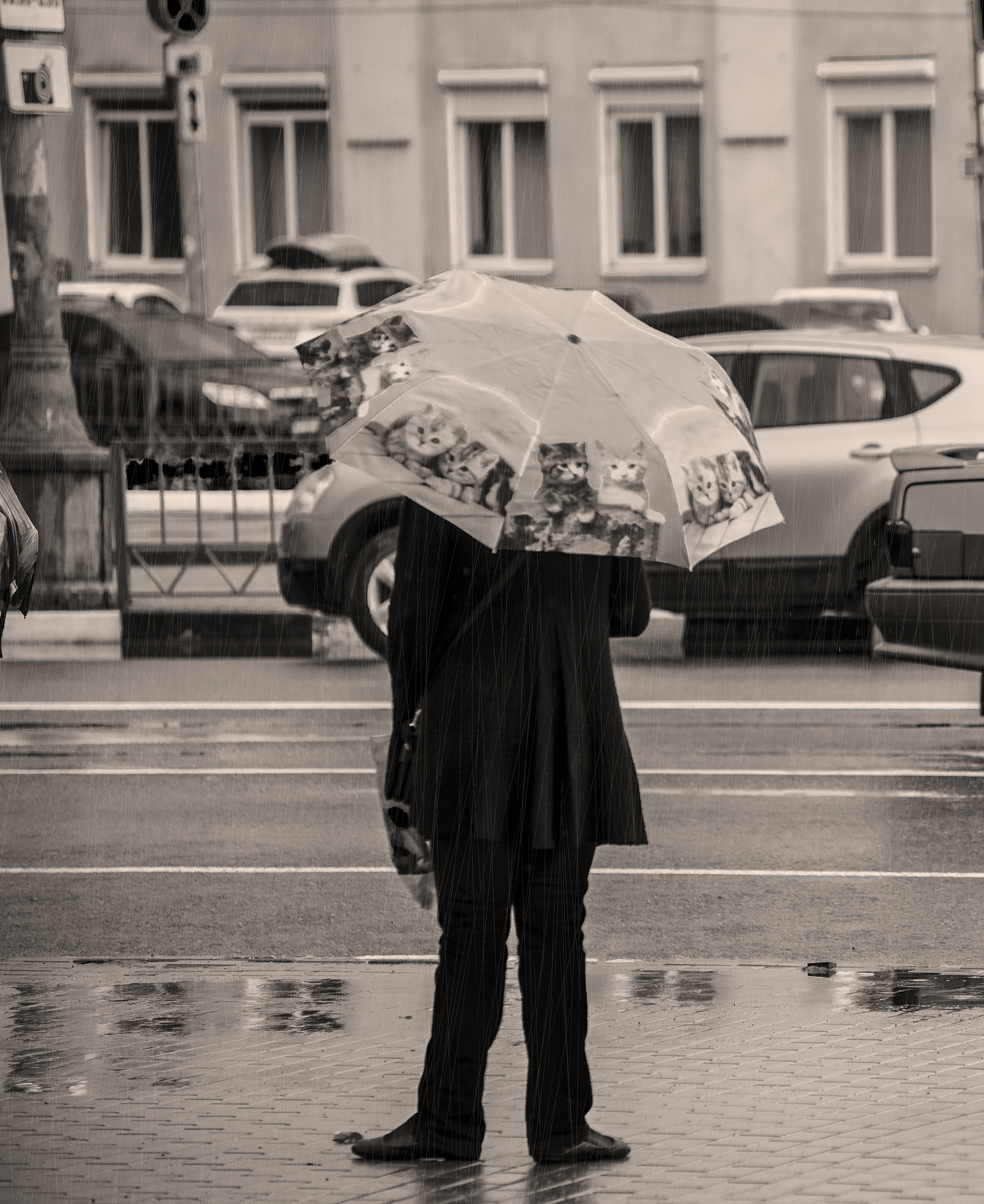 Giorno di pioggia,,,