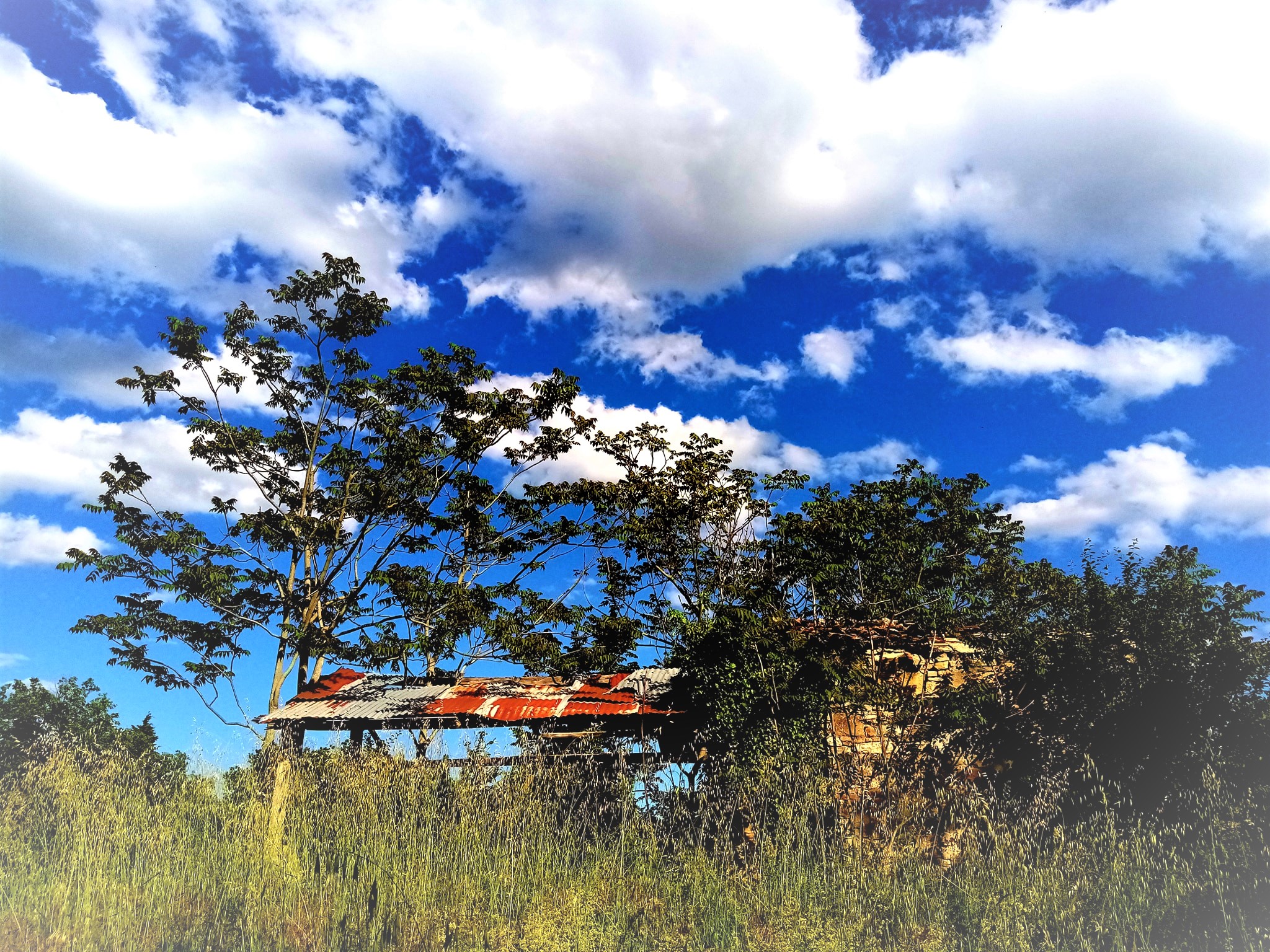 la vecchia   cascina