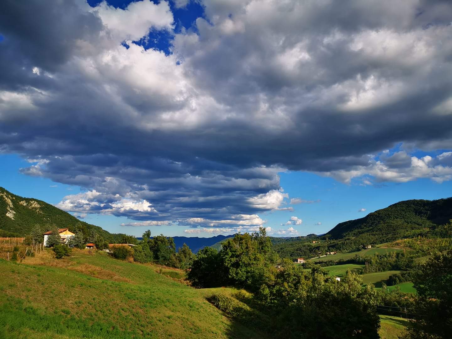 Panorama