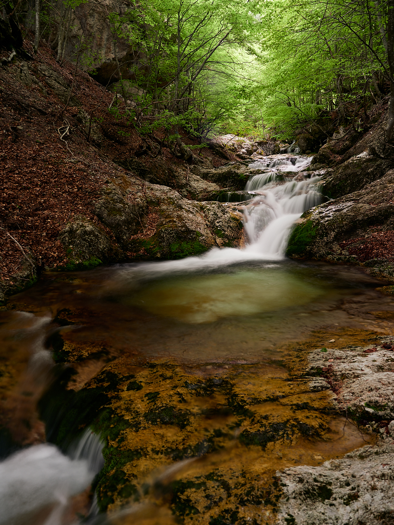 parco nazionale d'Abruzzo