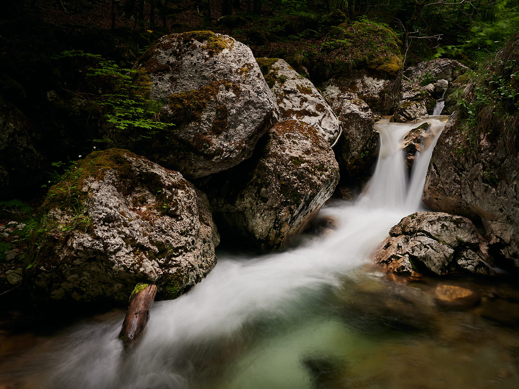 parco nazionale d'Abruzzo