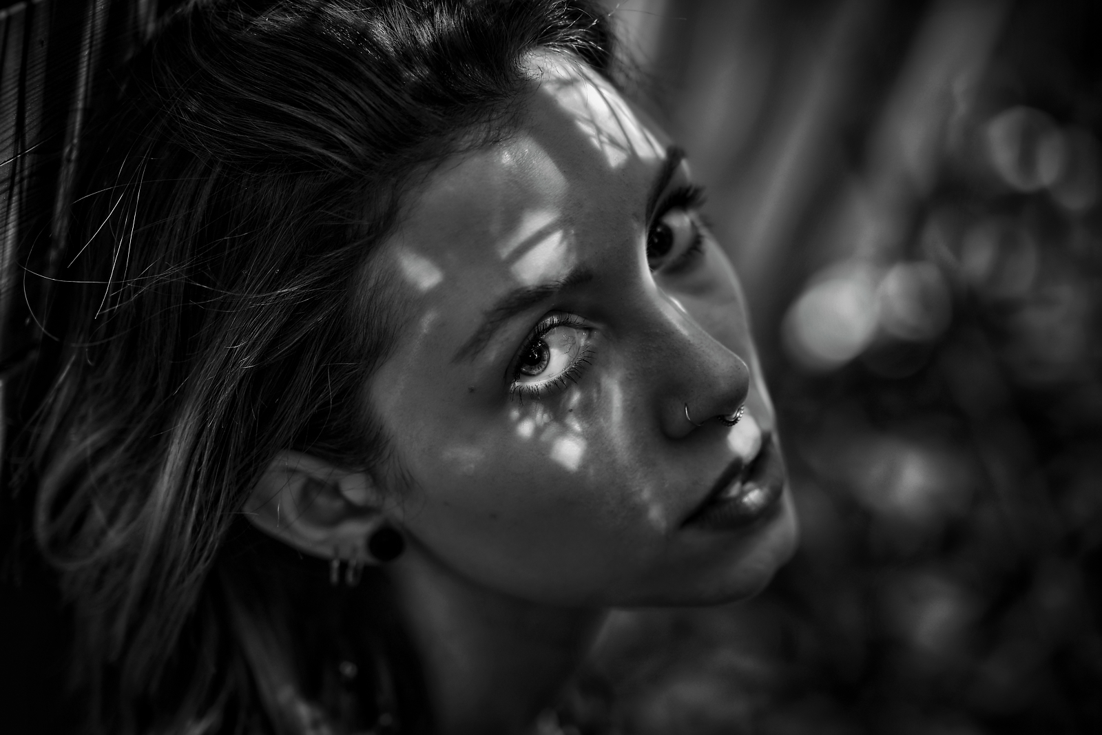 Shadows