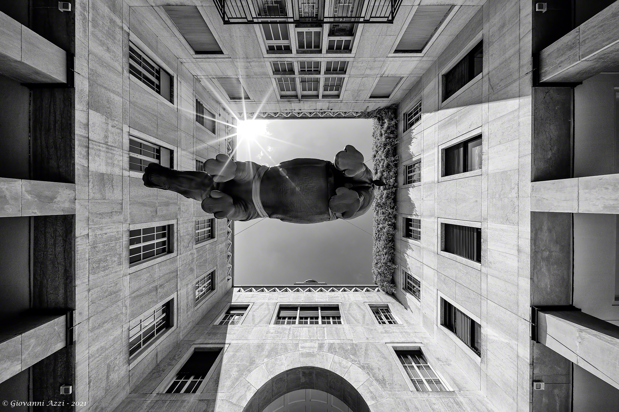 Quadriporticus with rhinoceros