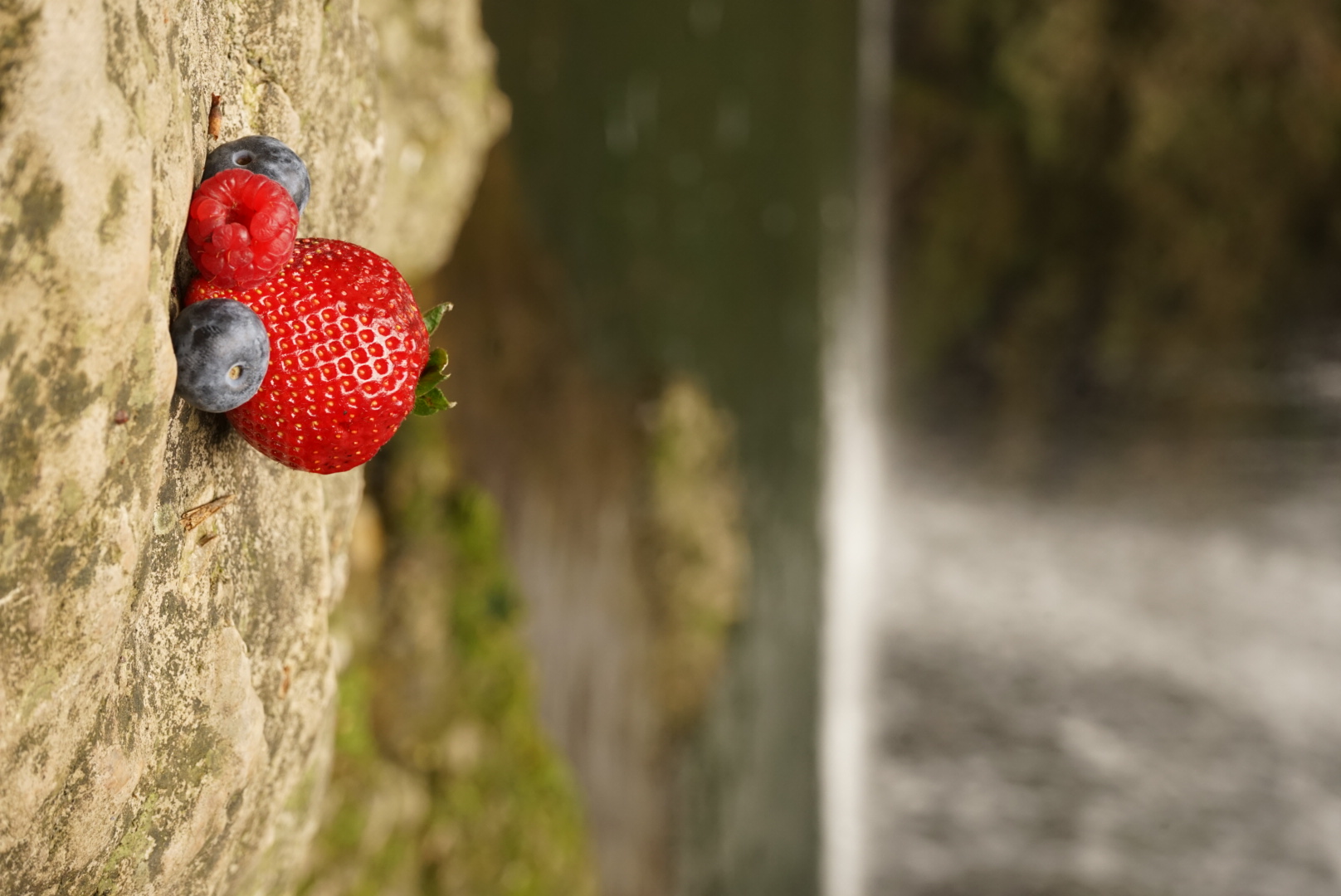 Fruit on the rock