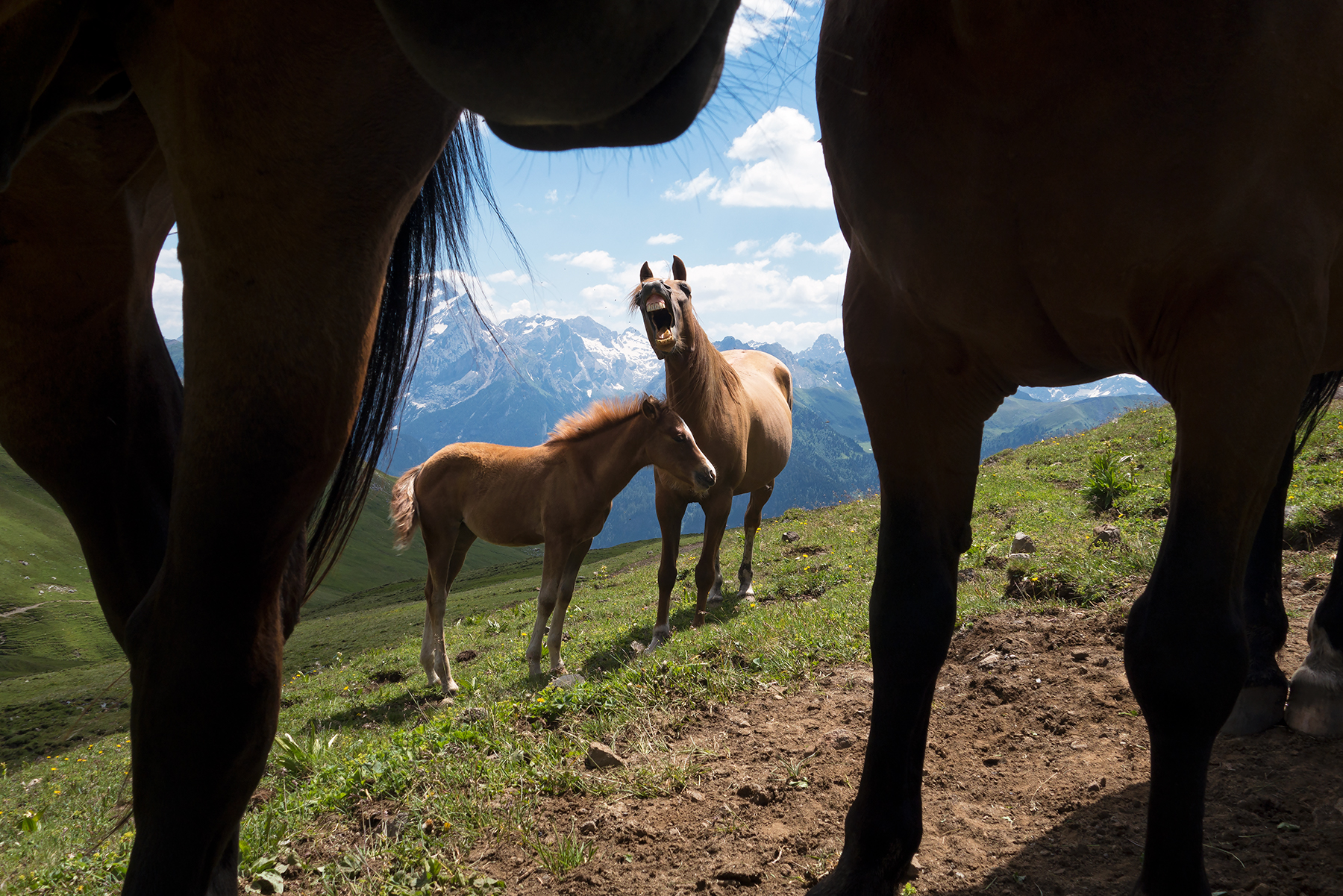 There's always a reason to smile