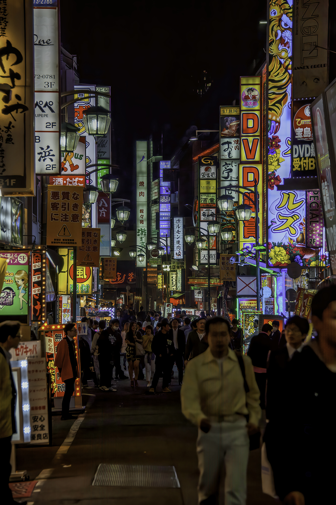 Kabukicho (Shinjuku)