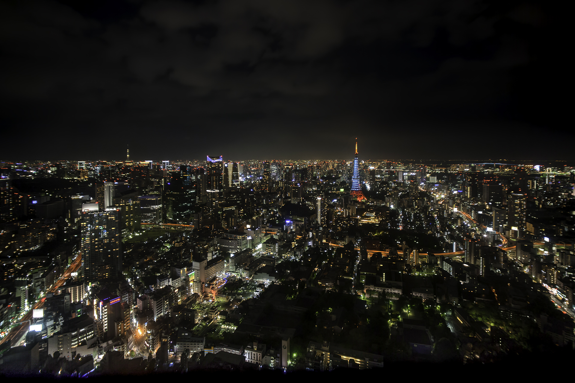 Tokyo dalla Mori Tower (Roppongi Hills)