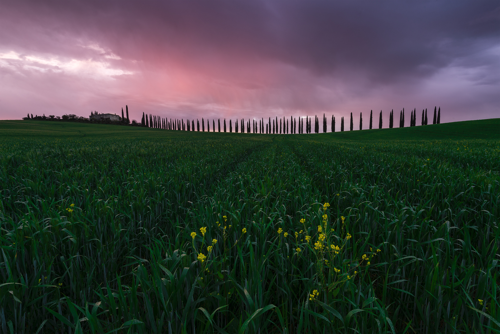Alba a Poggio Covili
