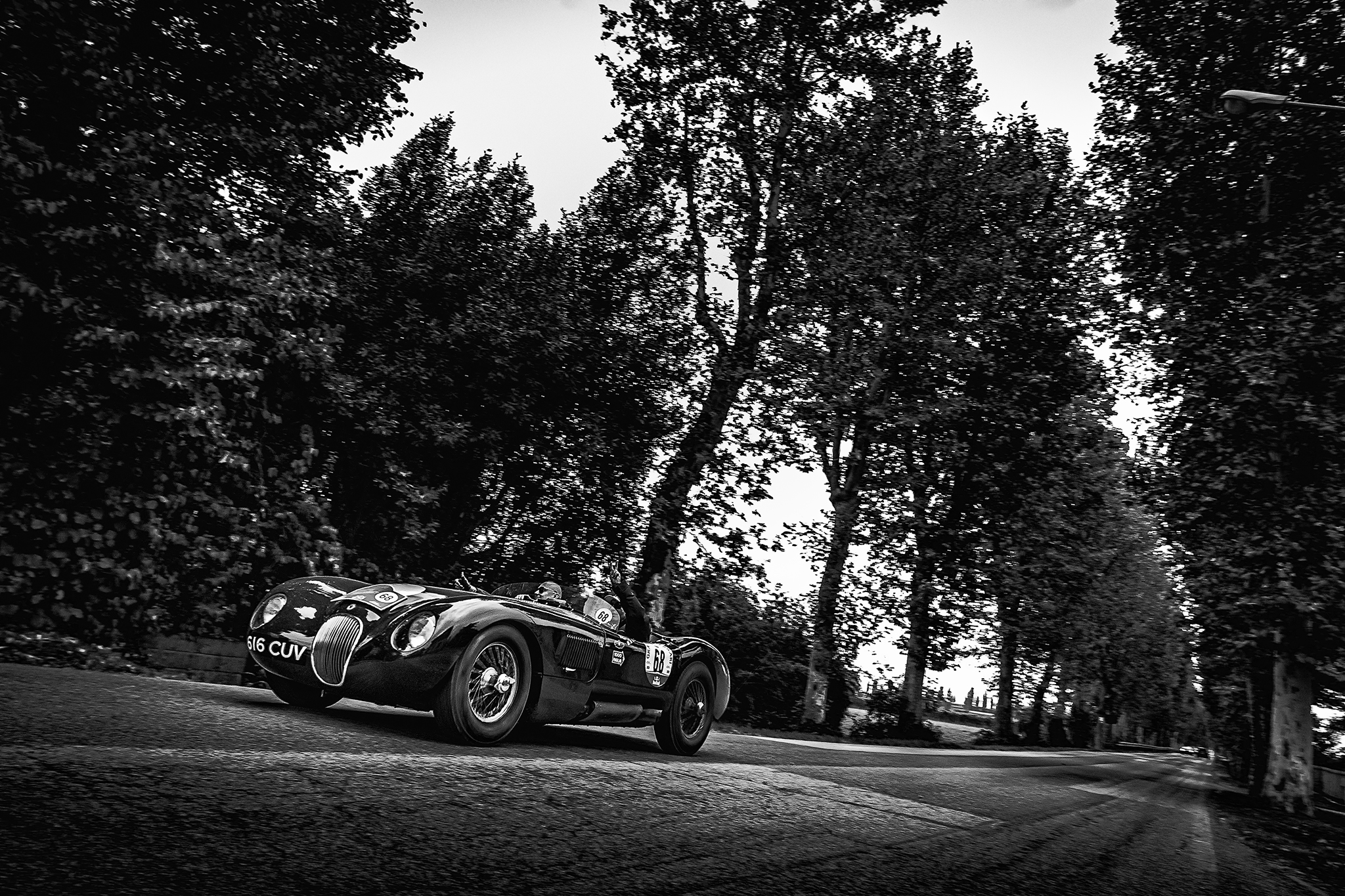 Jaguar XK 120 C-Type (1952)