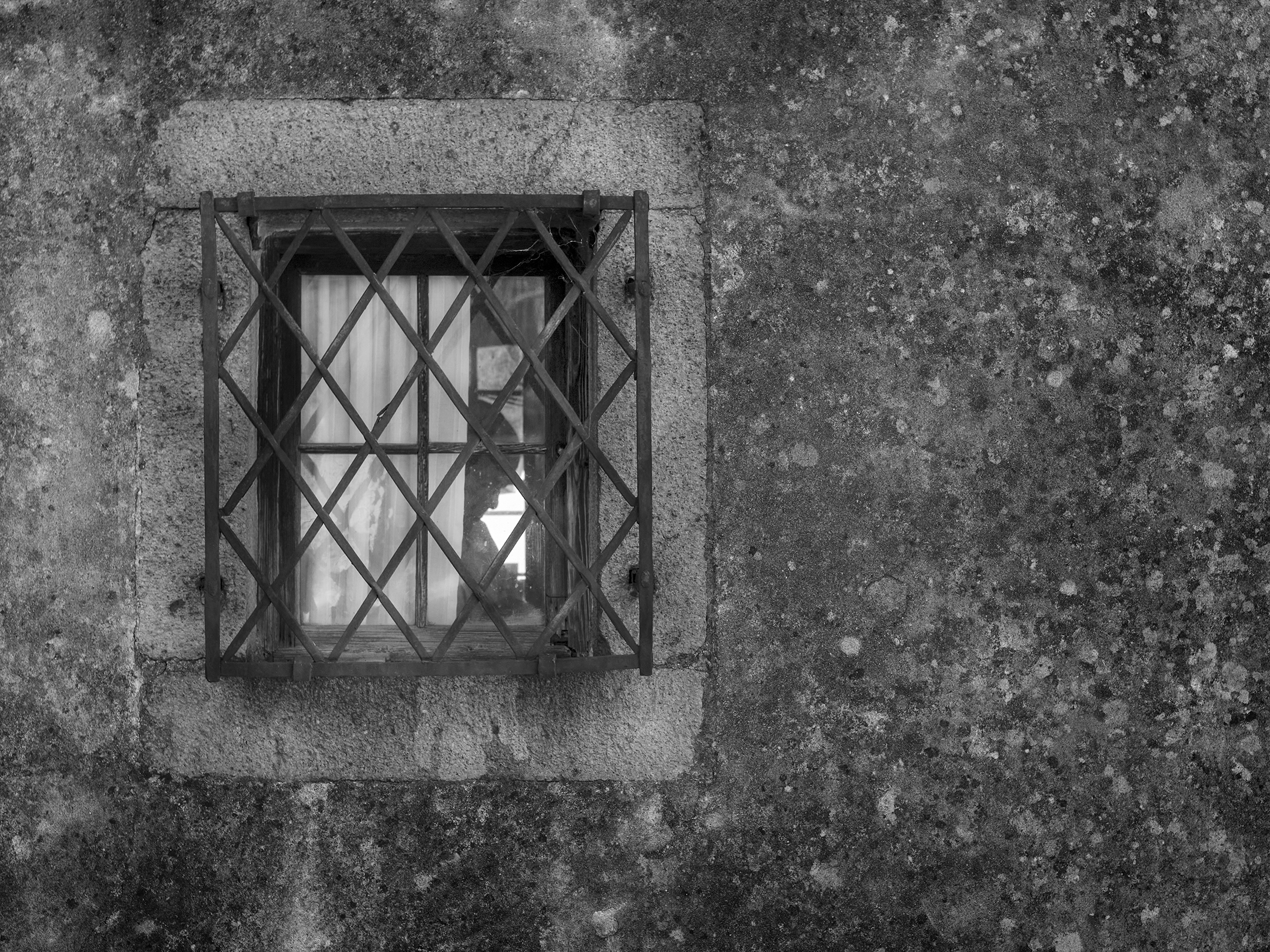 Dietro la finestra...