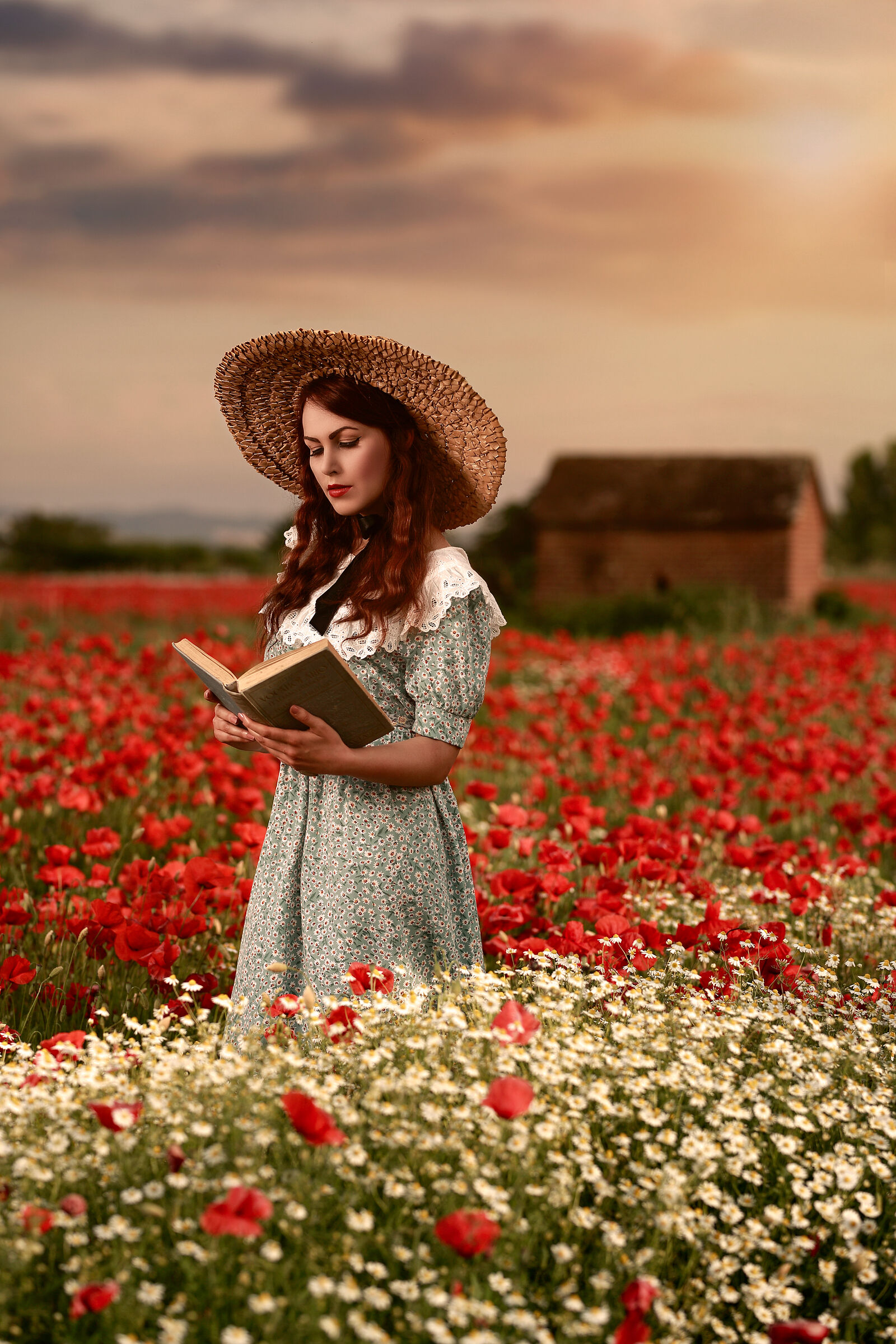 Reading among the poppies