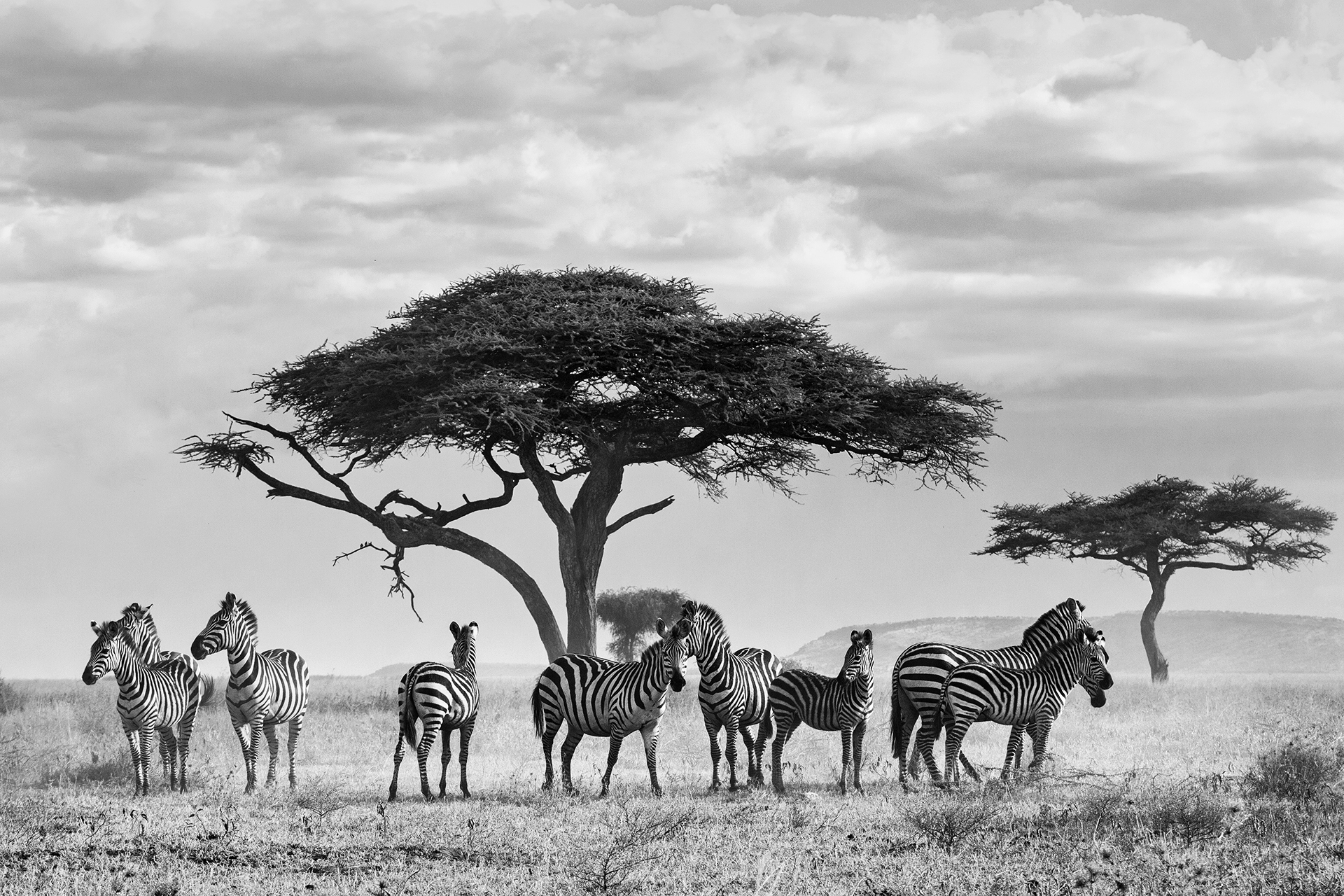 Semplicemente Africa