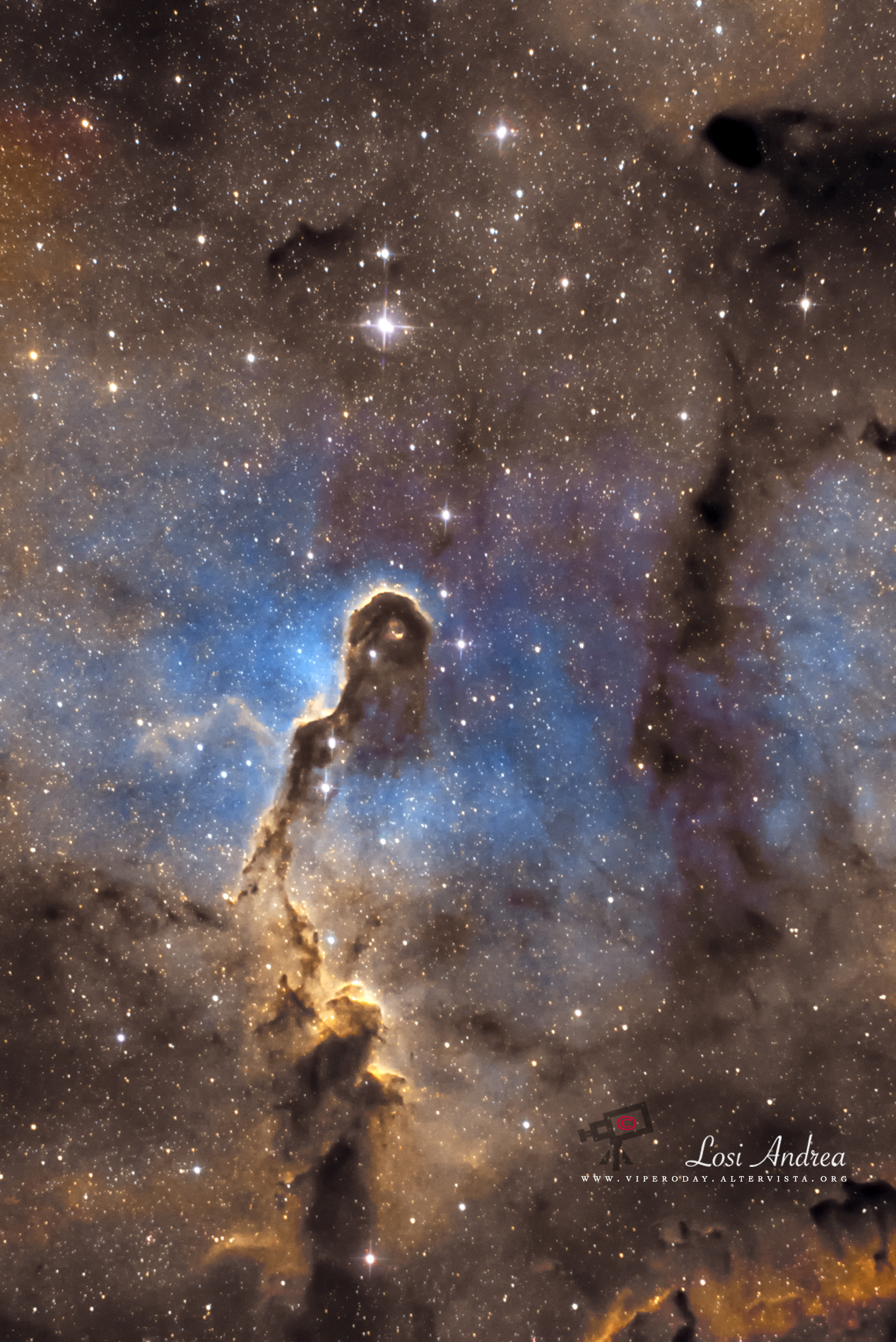 nebulosa Proboscide d'Elefante ( IC 1396)