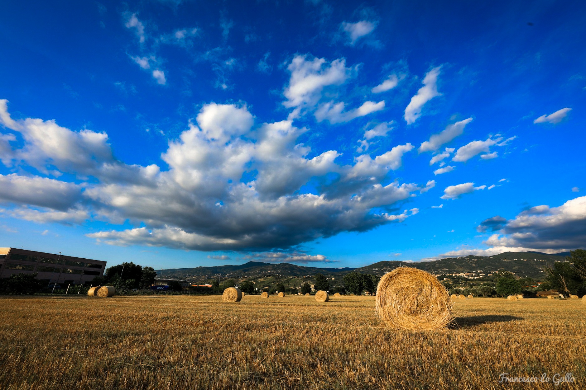 Bales in the blue