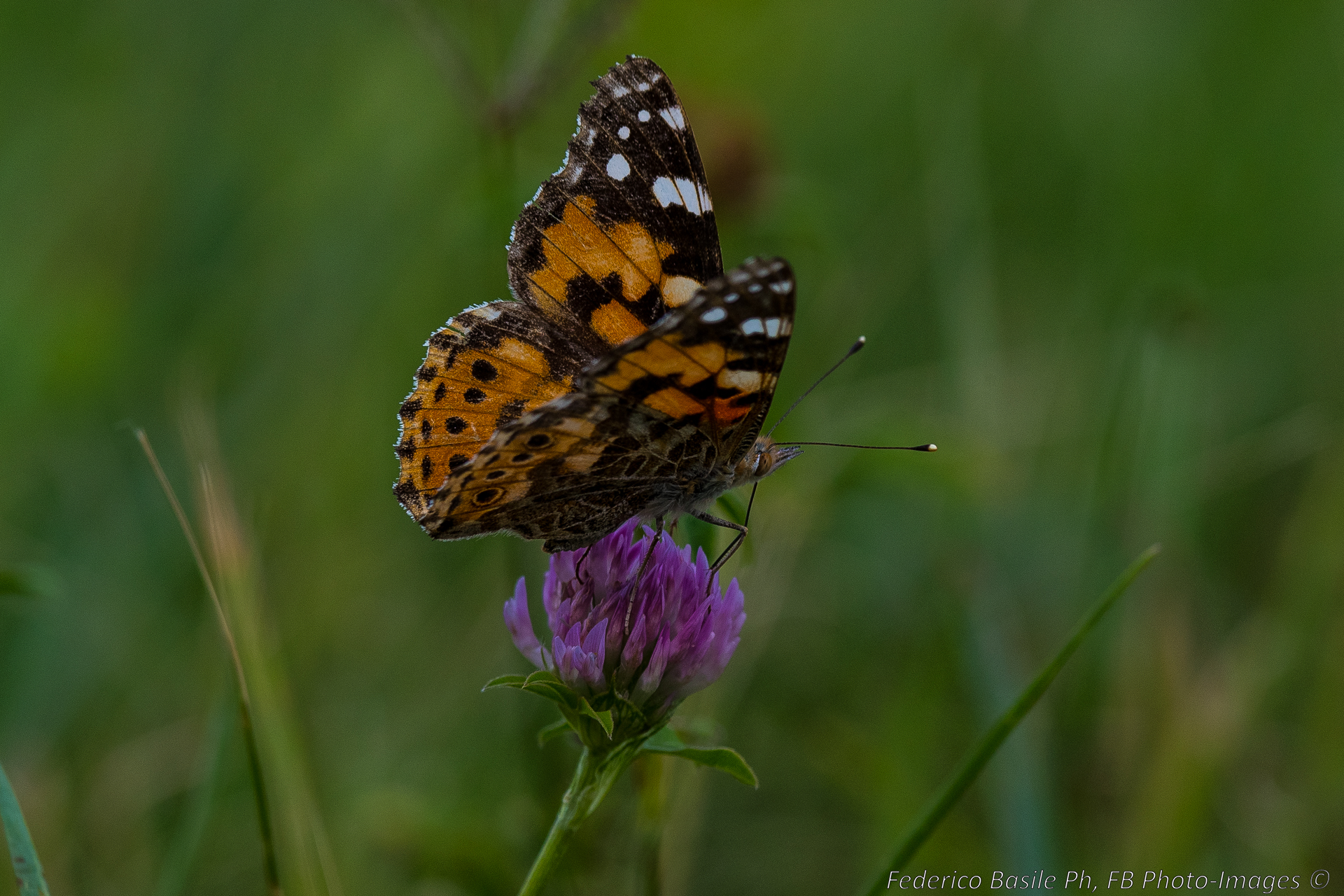La quiete prima della tempesta