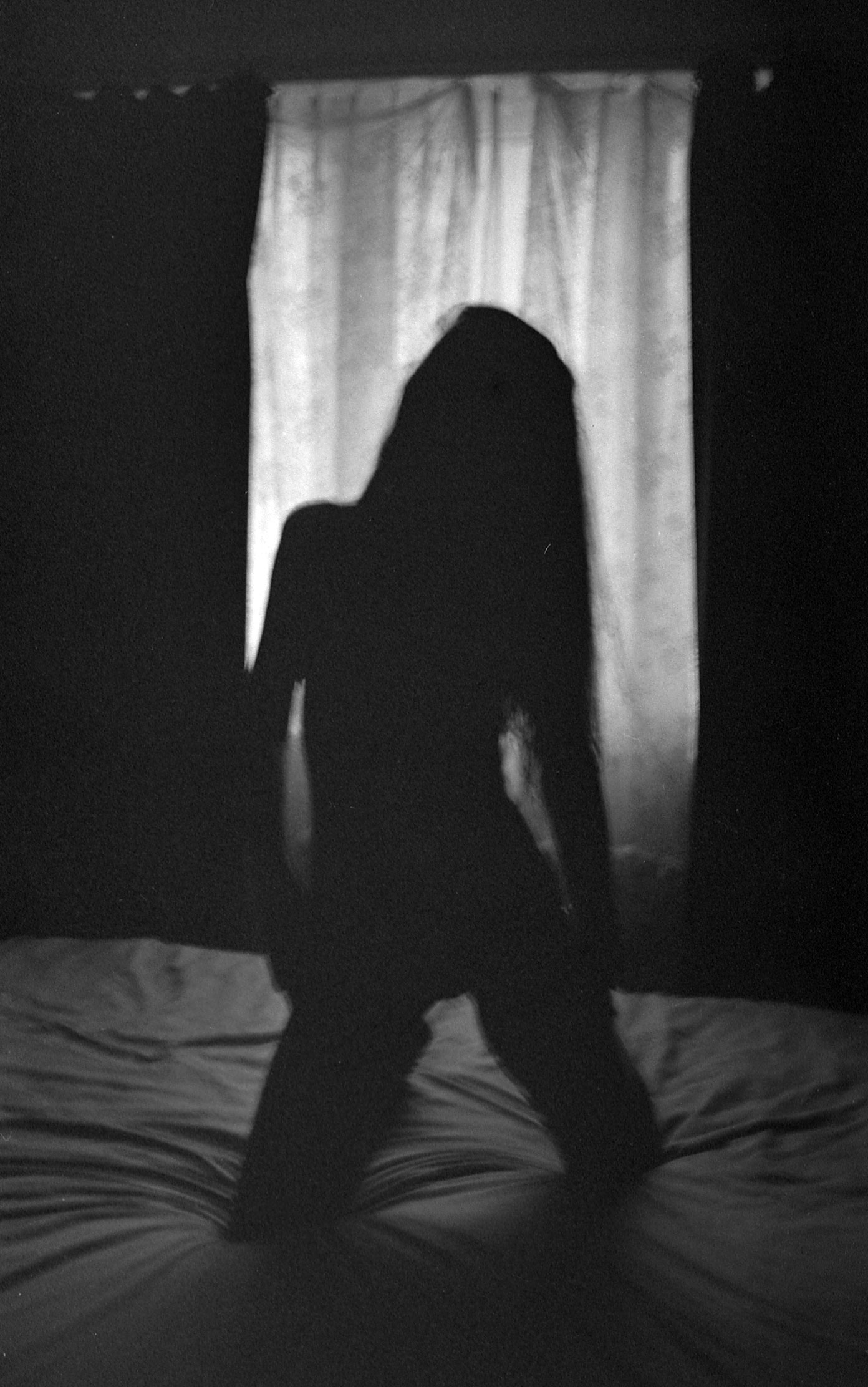Silhouette Nude Bodyscape II