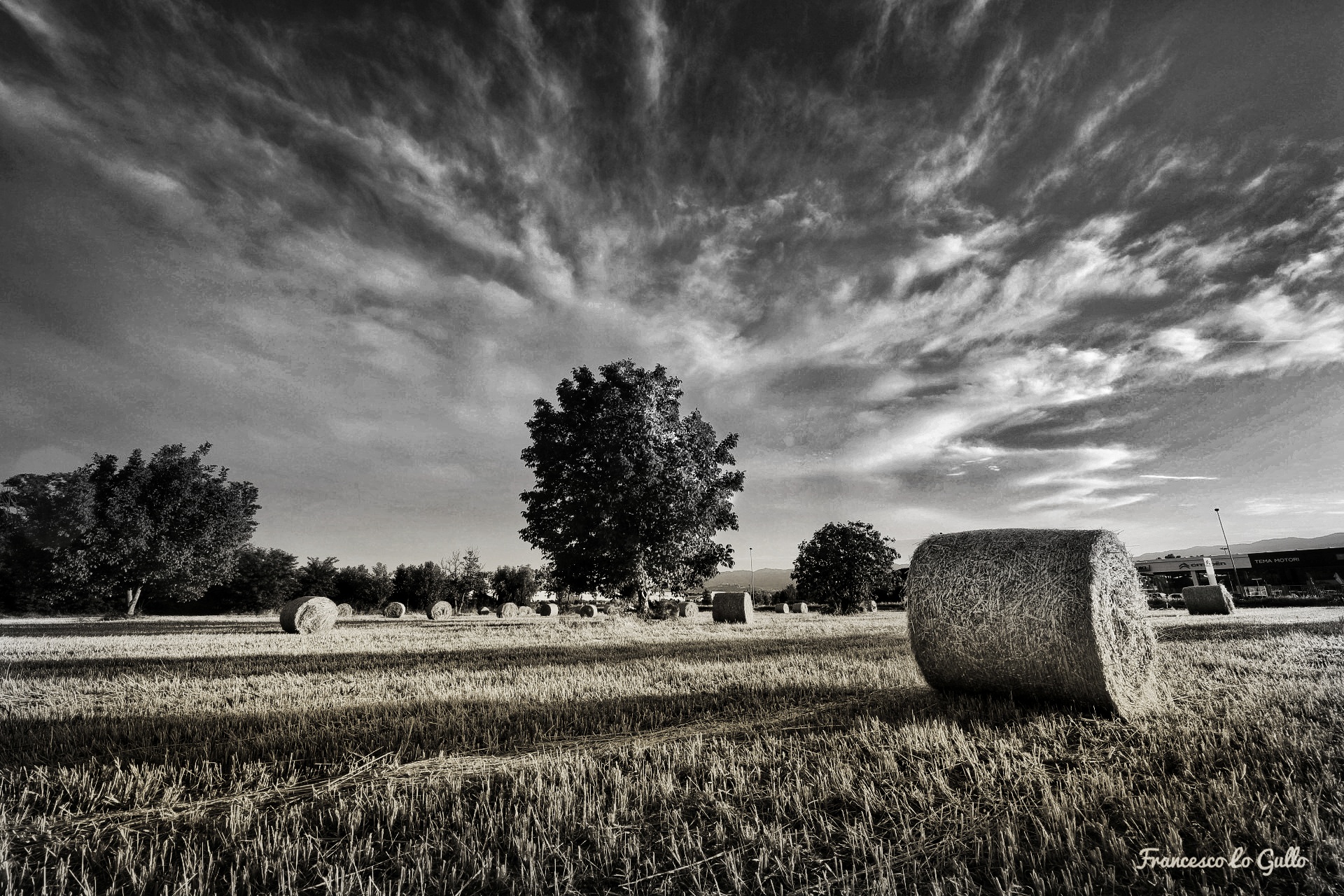 Sky and earth, black and white.