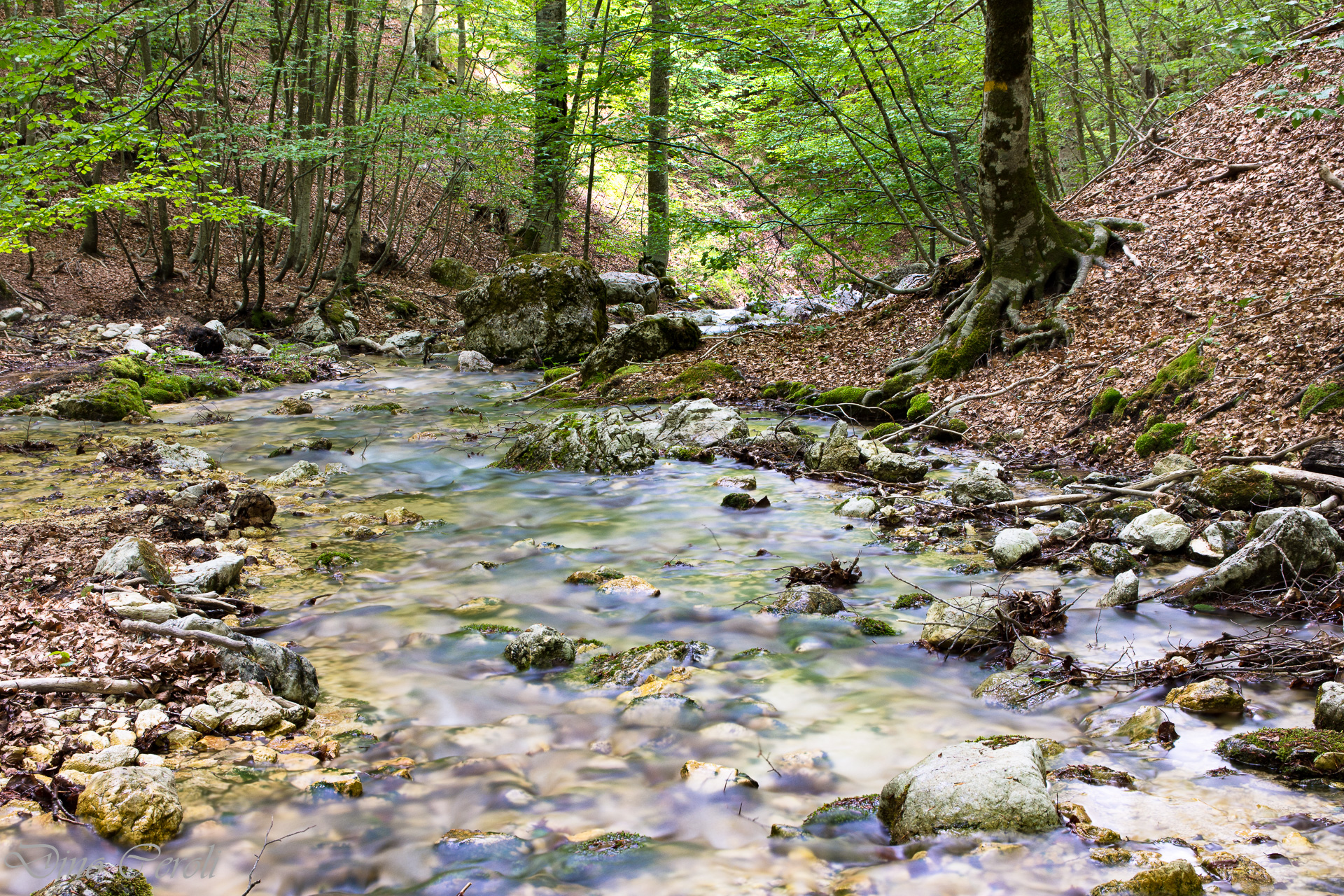Cave of the Fairies Spring