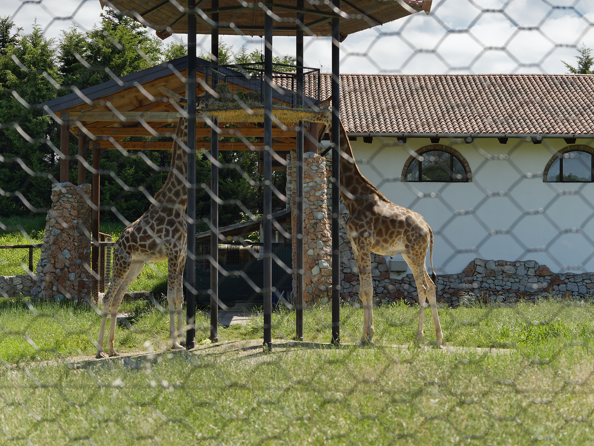 Parco faunistico Val Corba 7