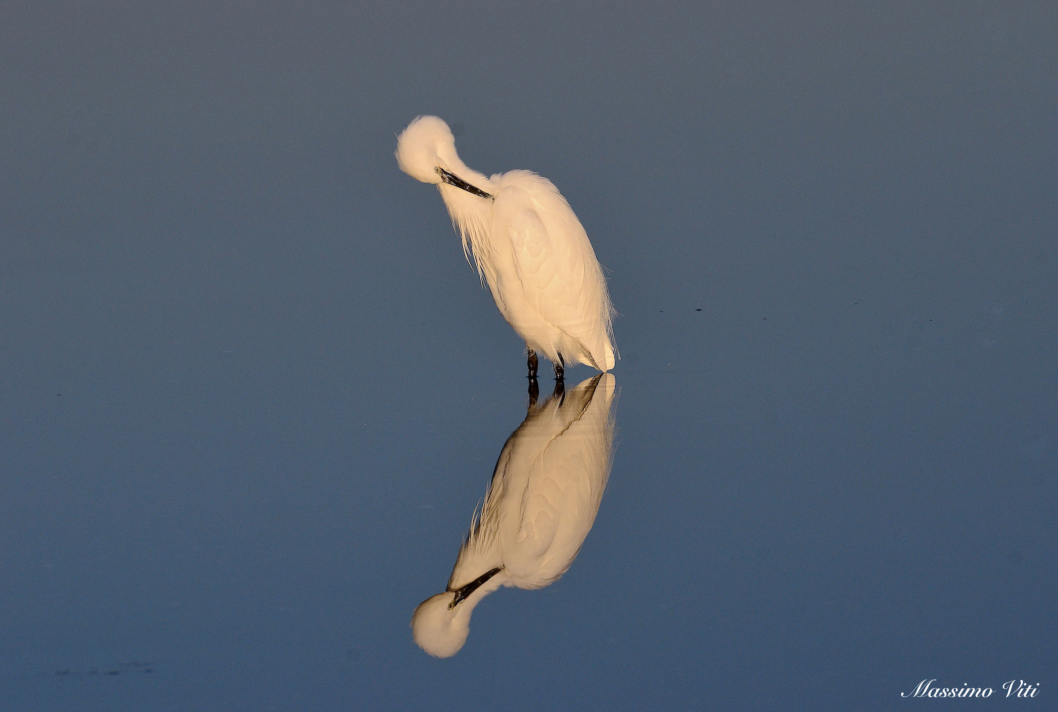 Le pulizie della Garzetta allo specchio