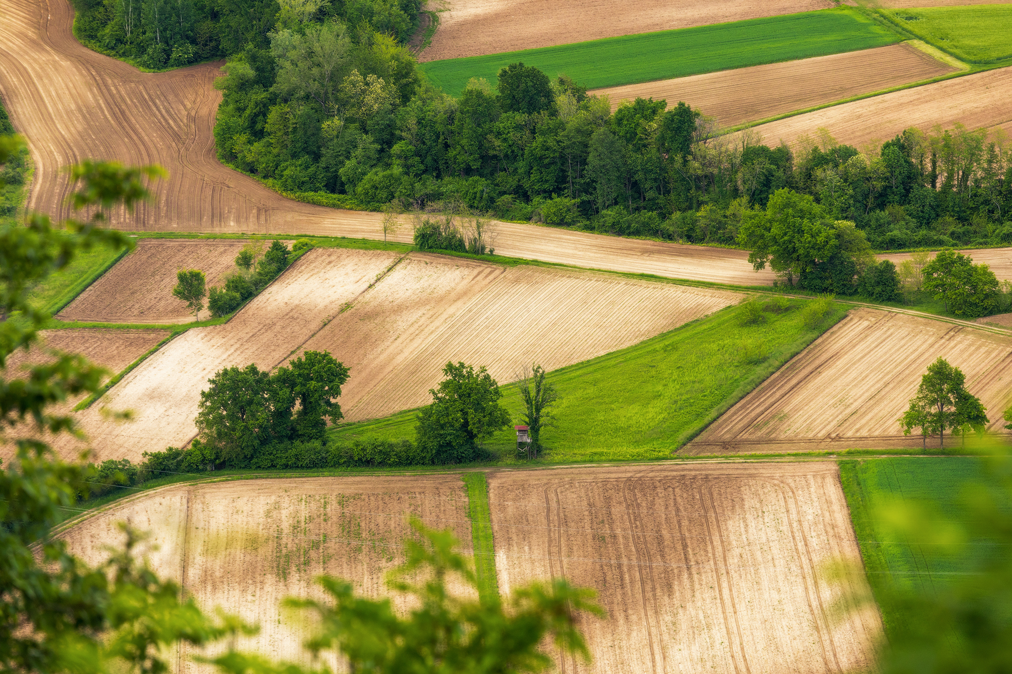 Friulian countryside near S.Daniele del Friuli