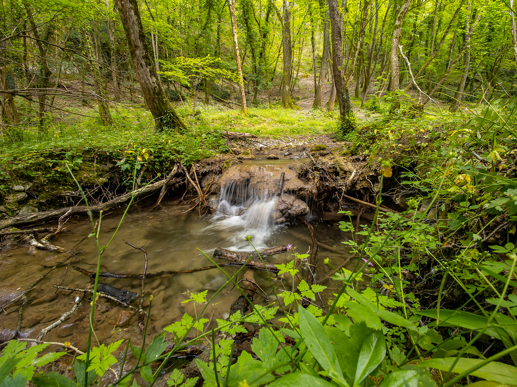 passeggiando lungo il fiume