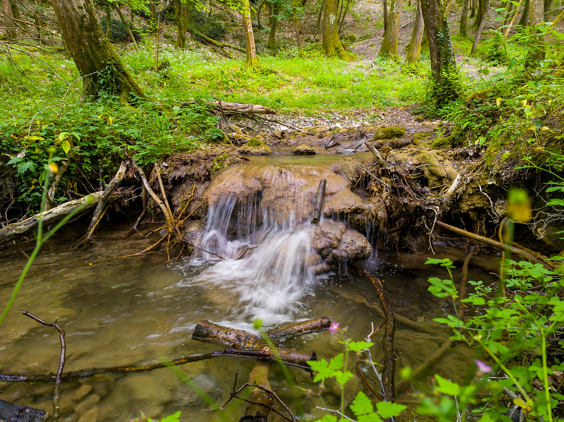 passeggiando lungo il fiume 2