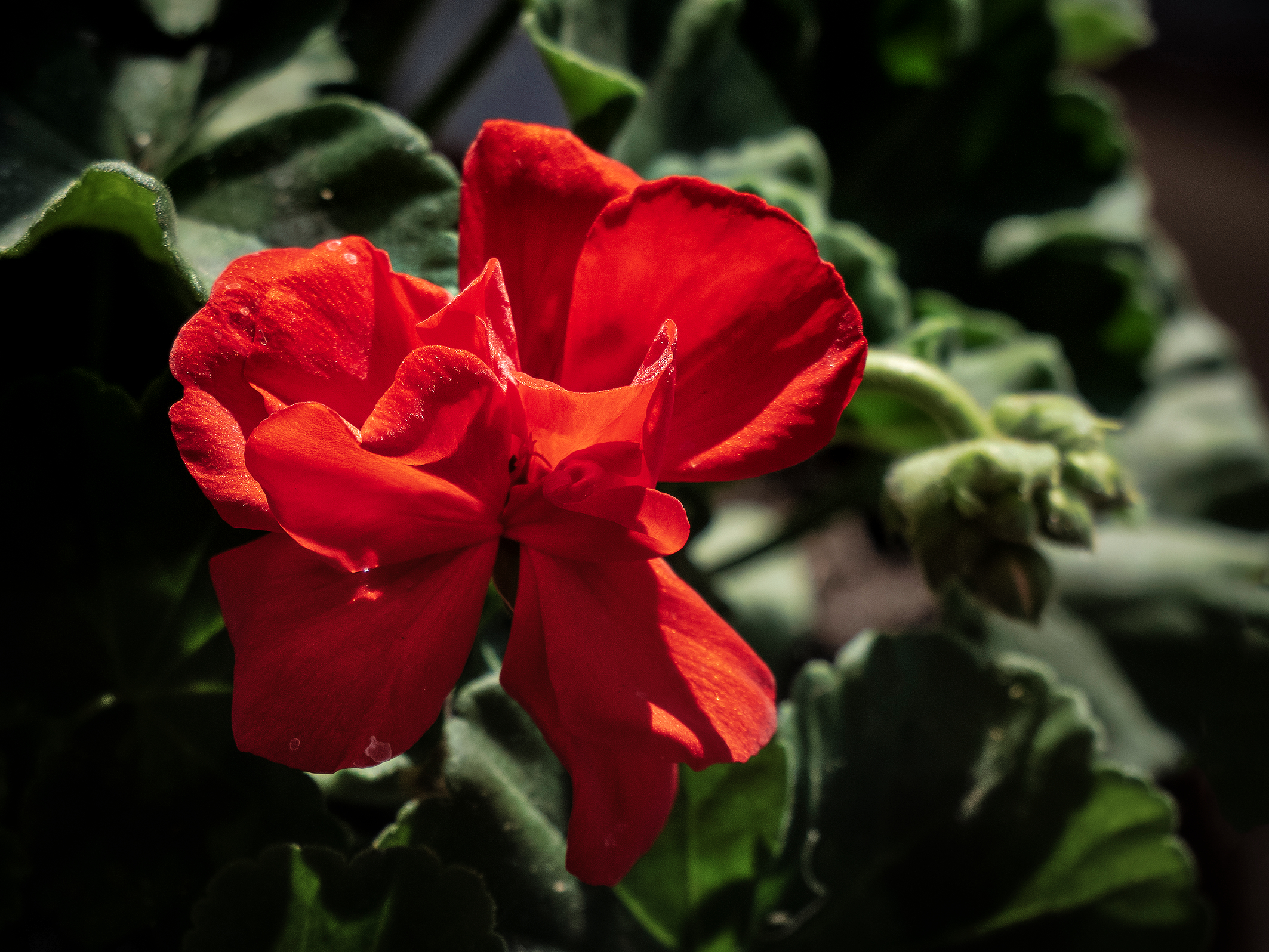 Untitled Photo